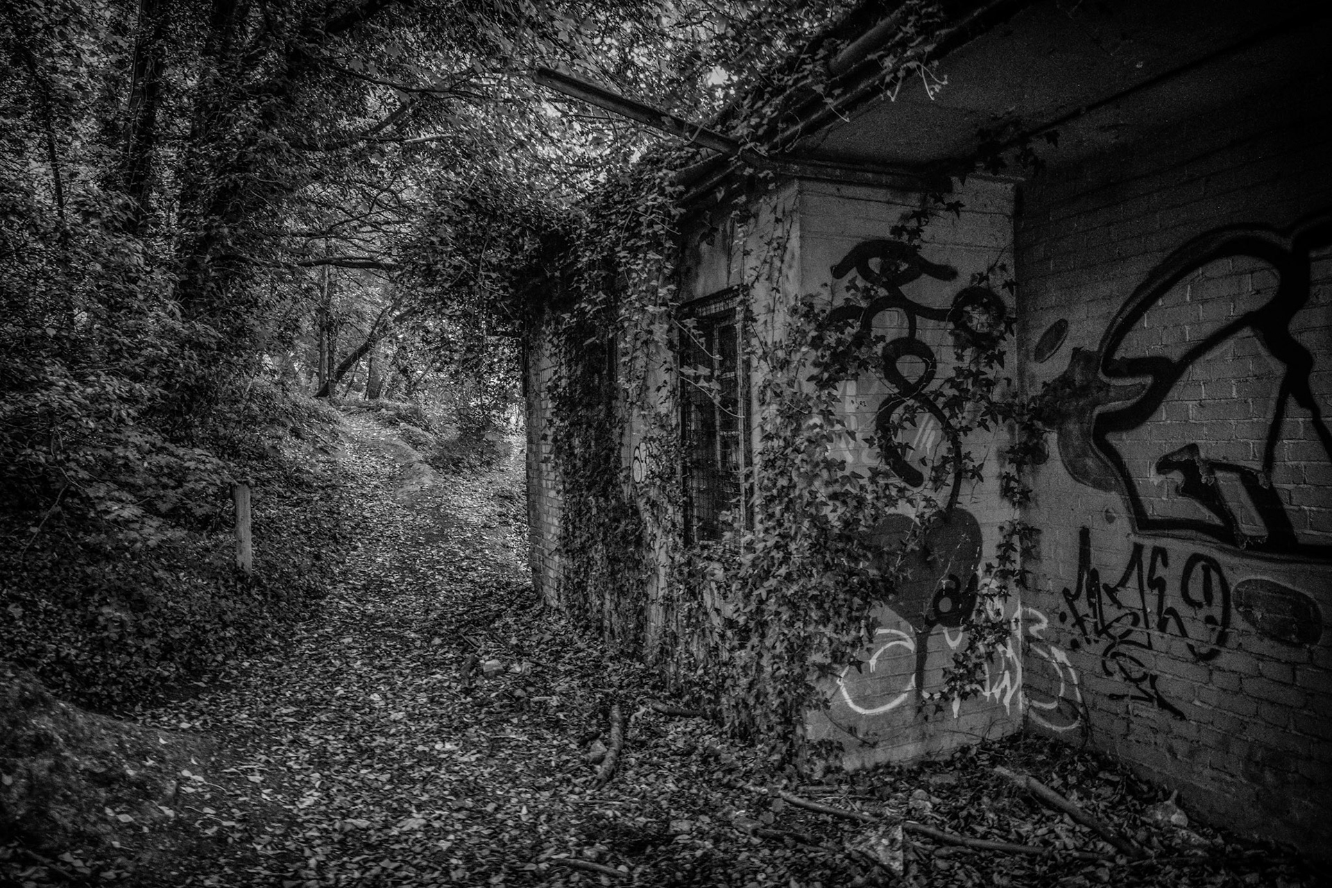 A derelict guardroom stands on the edge of woodland, overtaken by ivy and leaf-fall. Once built to control and protect, it now watches over nothing — its authority eroded, its purpose vanished into the trees.