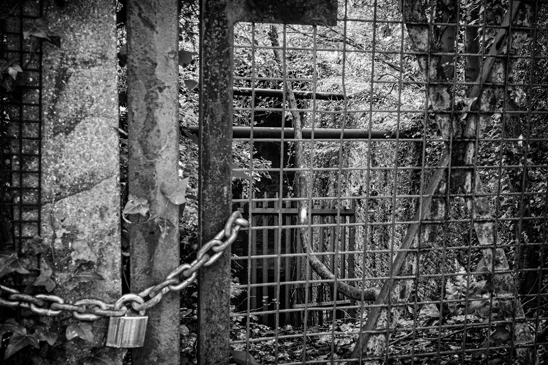 A padlock seals the entrance to a long-abandoned mine. Behind the grid, stone, ivy and steel mark the site of past labour — now made inaccessible. This is where exclusion begins.