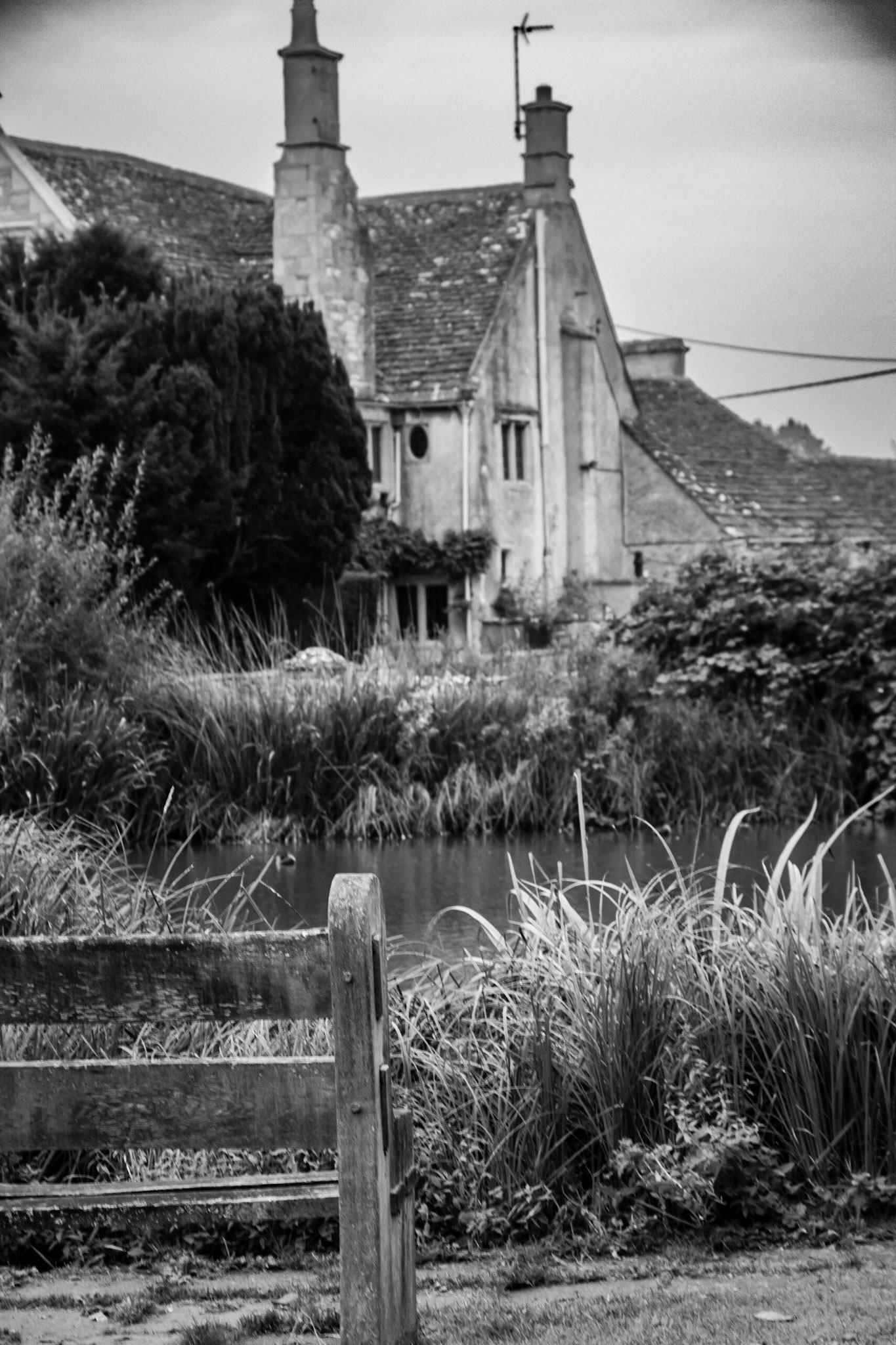 The pond, a heritage view.