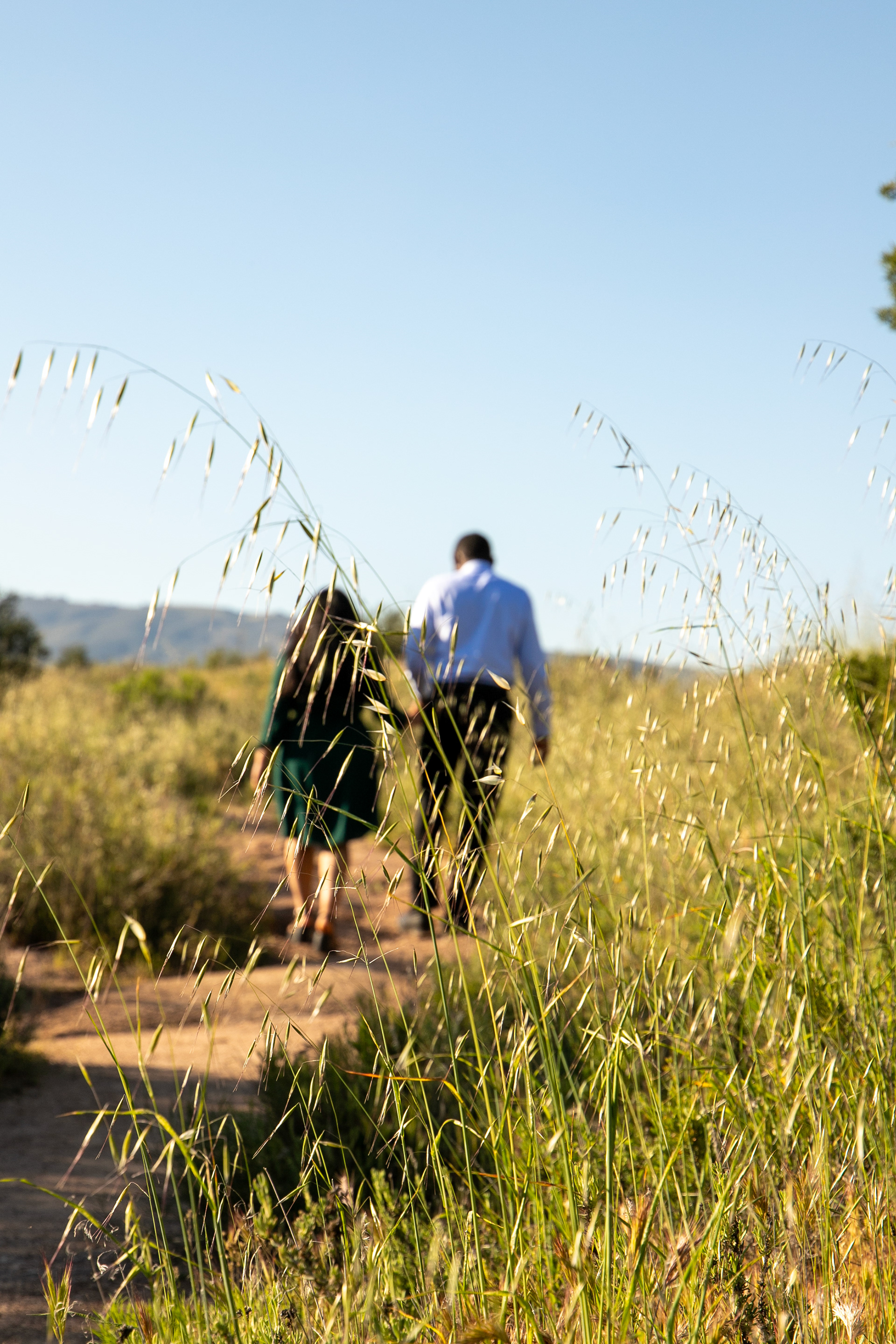Couple photography on a sunny day