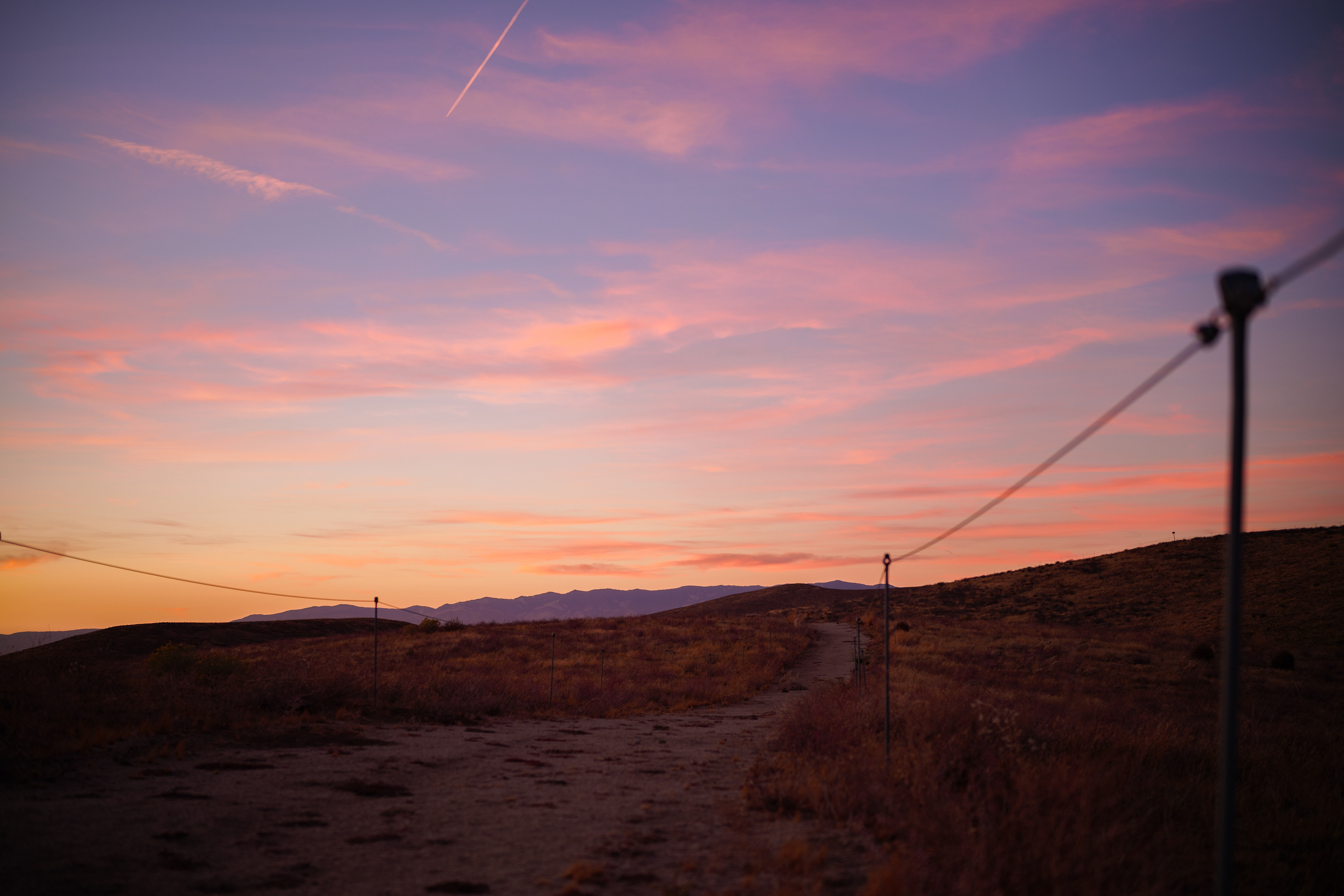 Antelope Valley Poppy Reserve