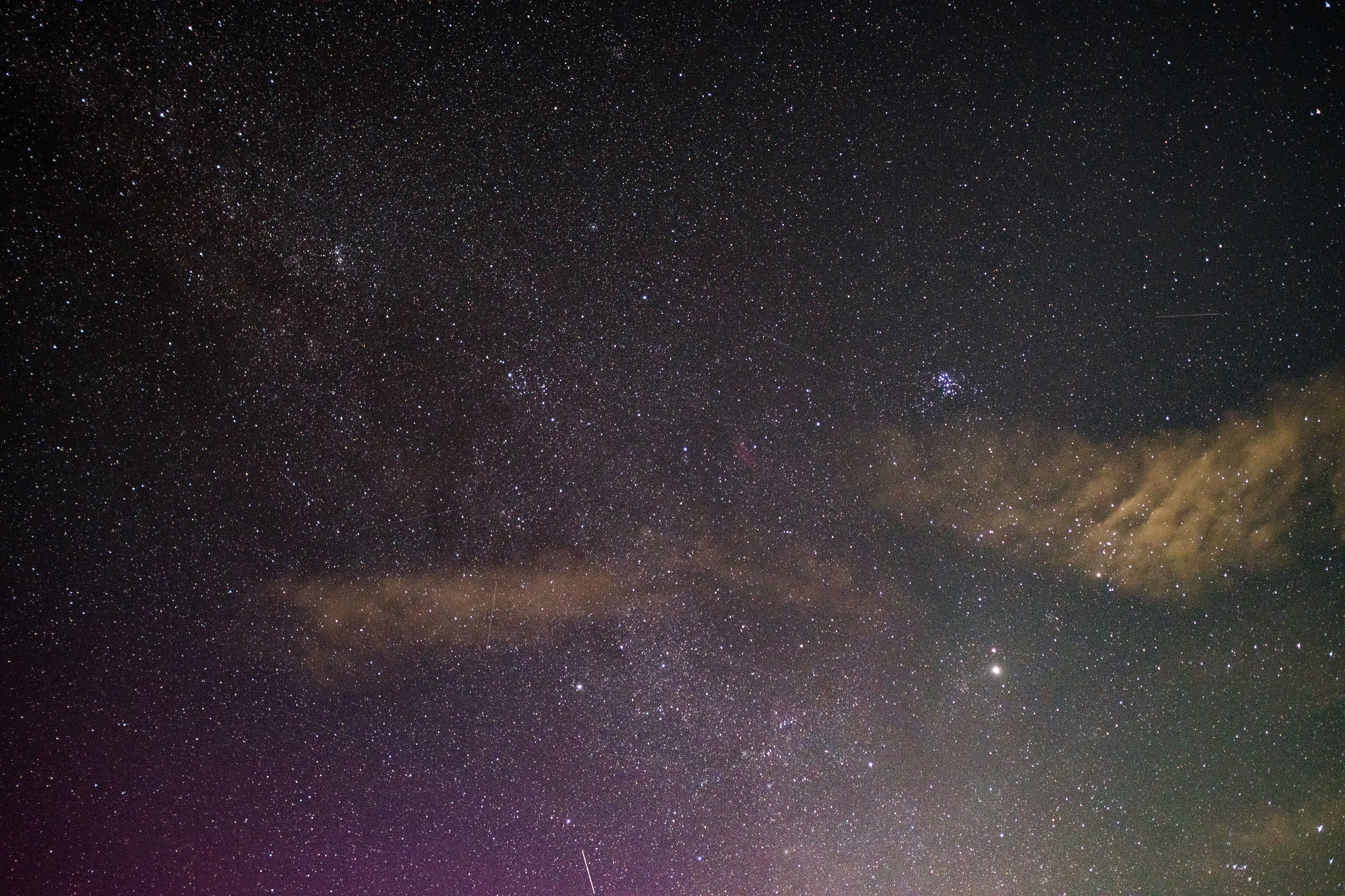 Perseid Meteor Shower