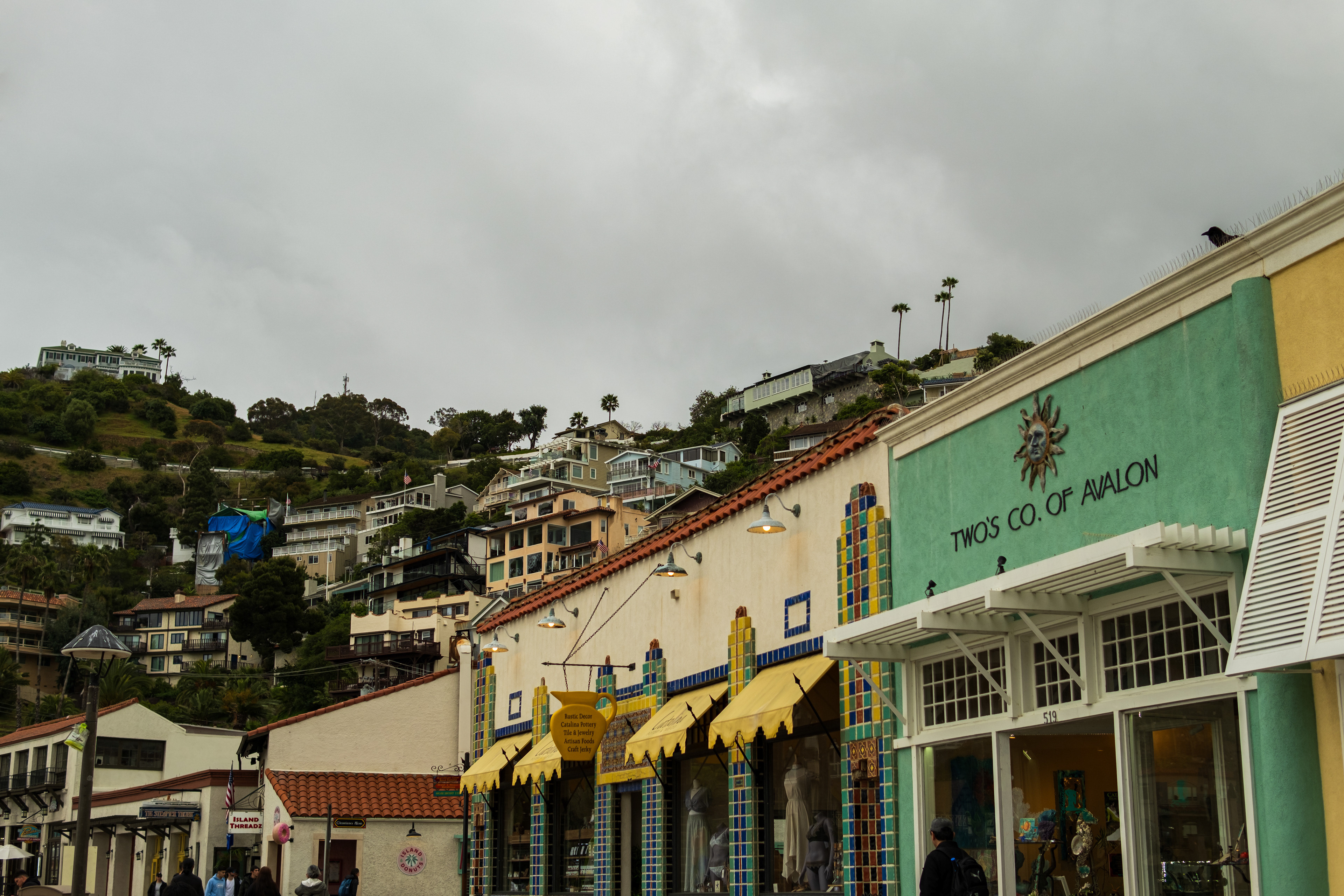 Downtown Avalon