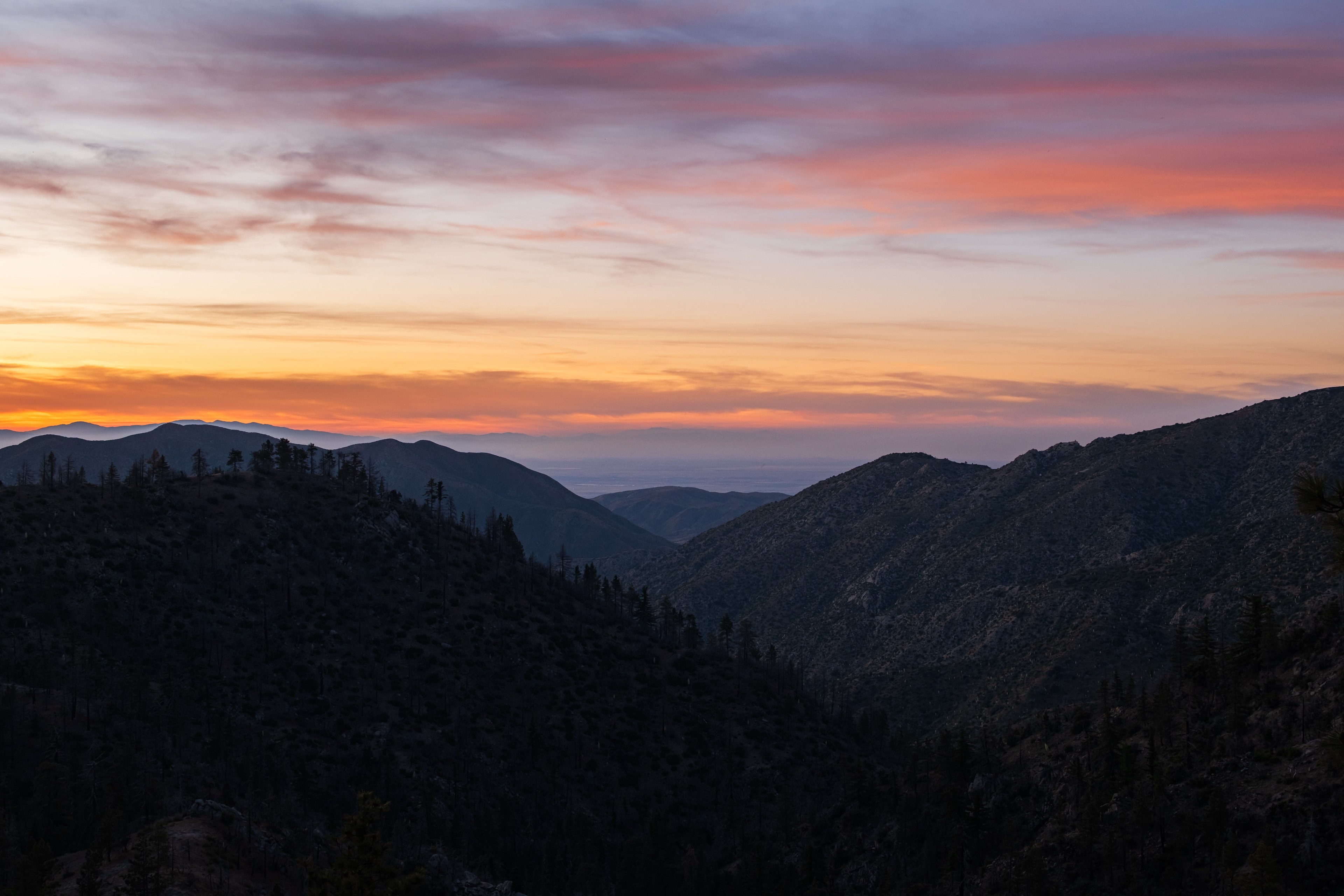 Angeles National Forest