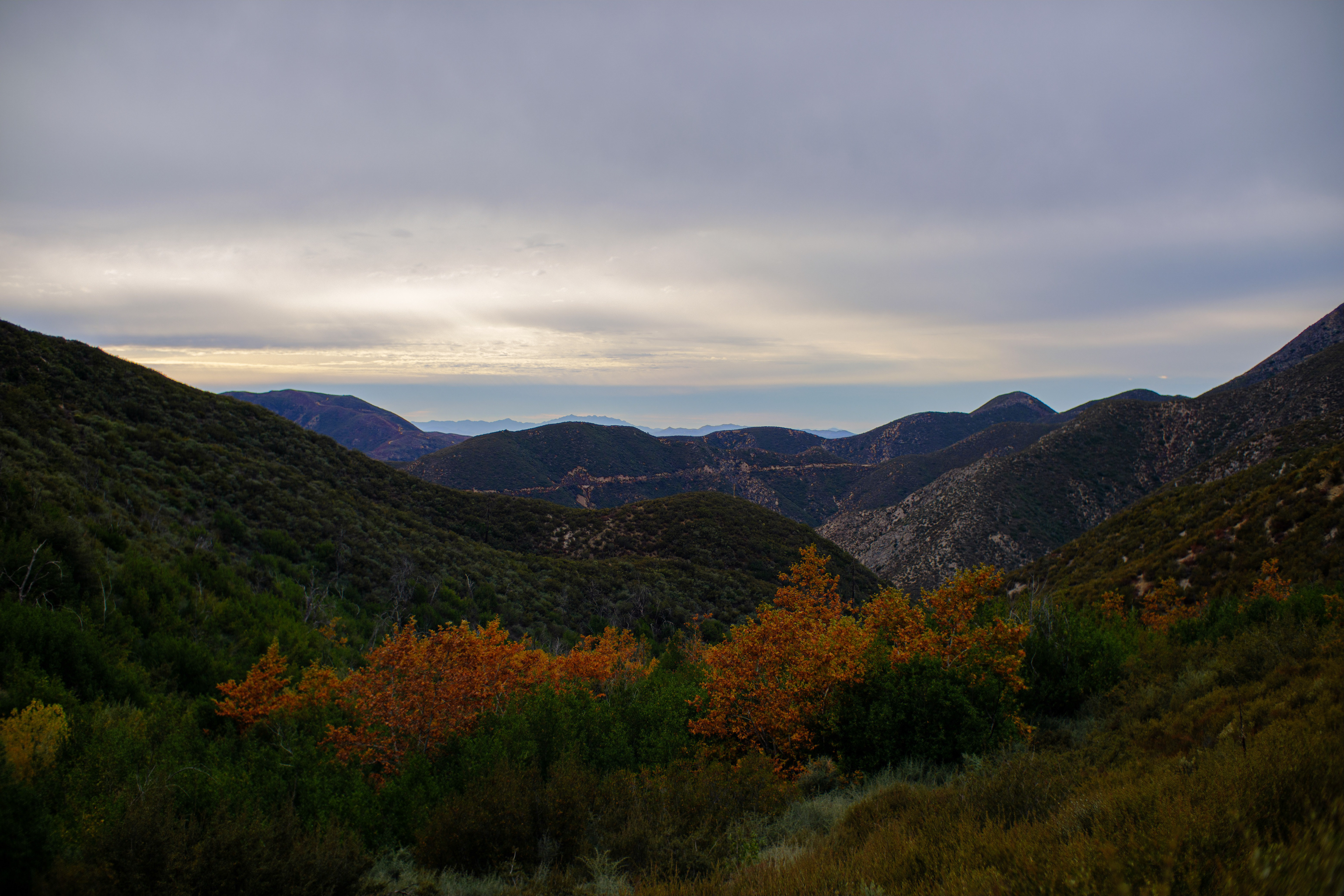 Condor Peak