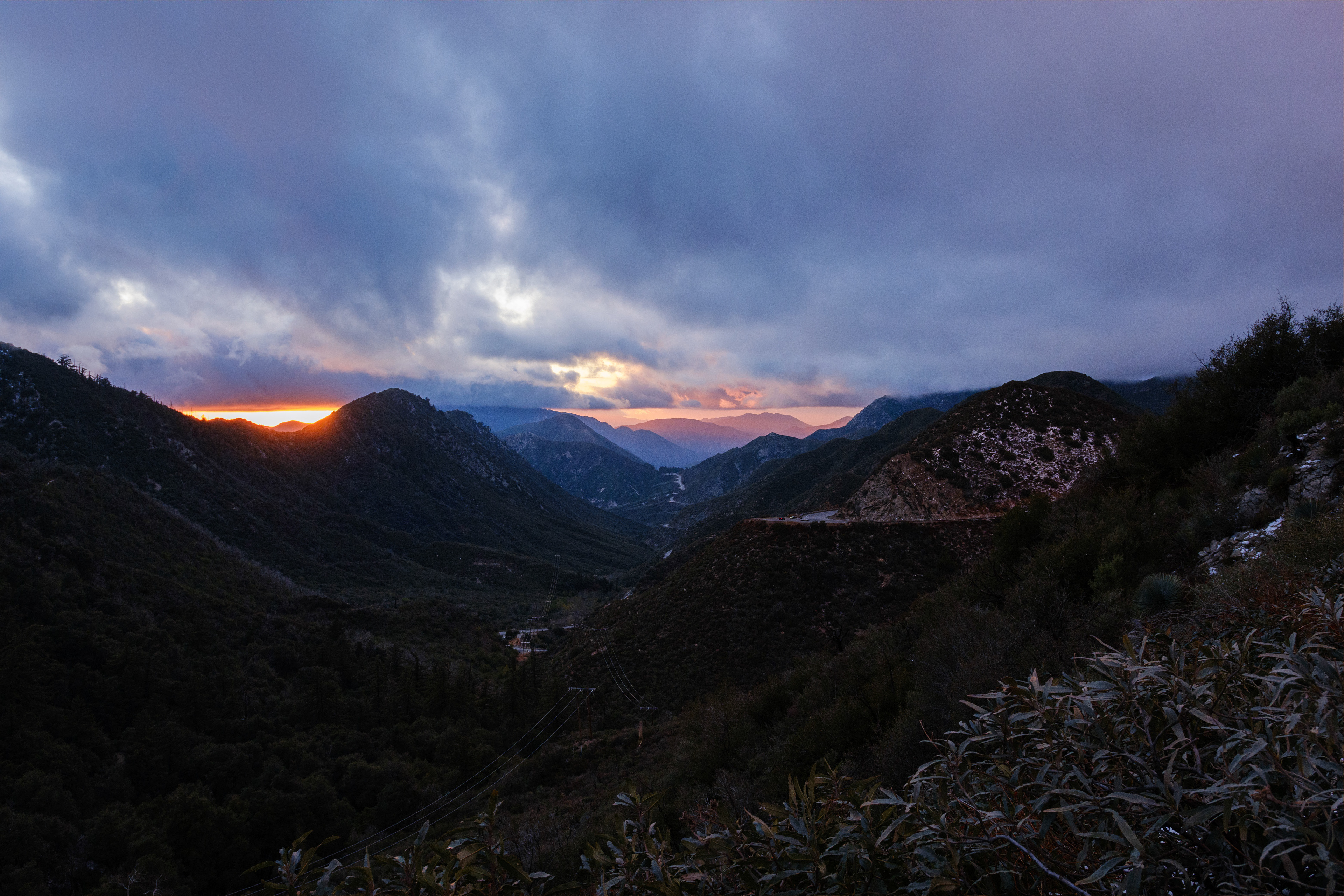 Angeles National Forest