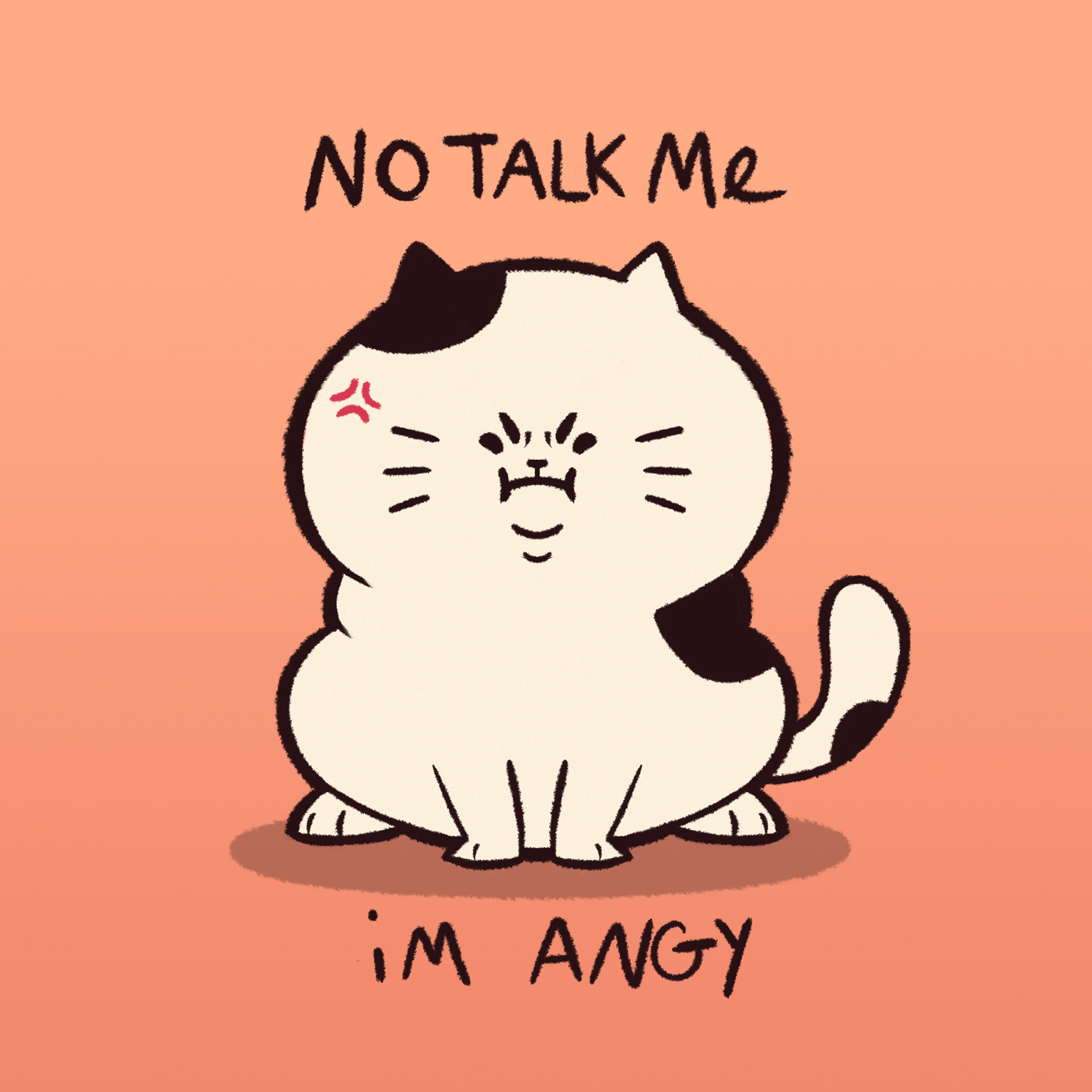 Angy Cat (2020)