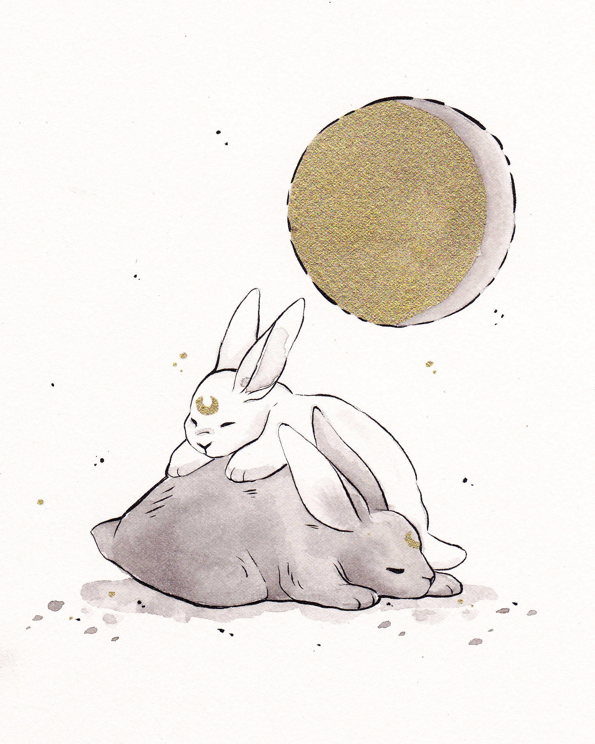 Waning Gibbous Moon