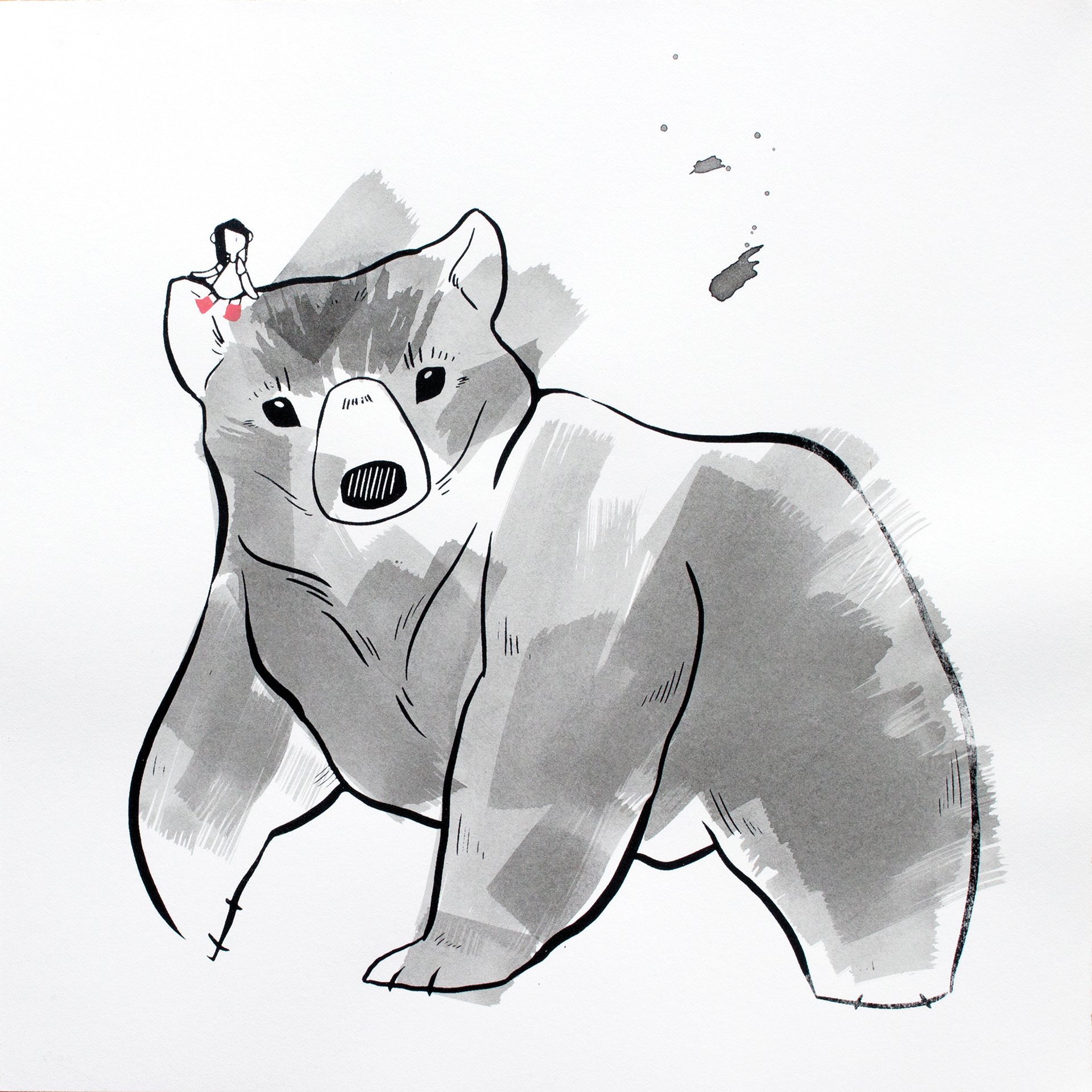 Little Wild Life: Bear