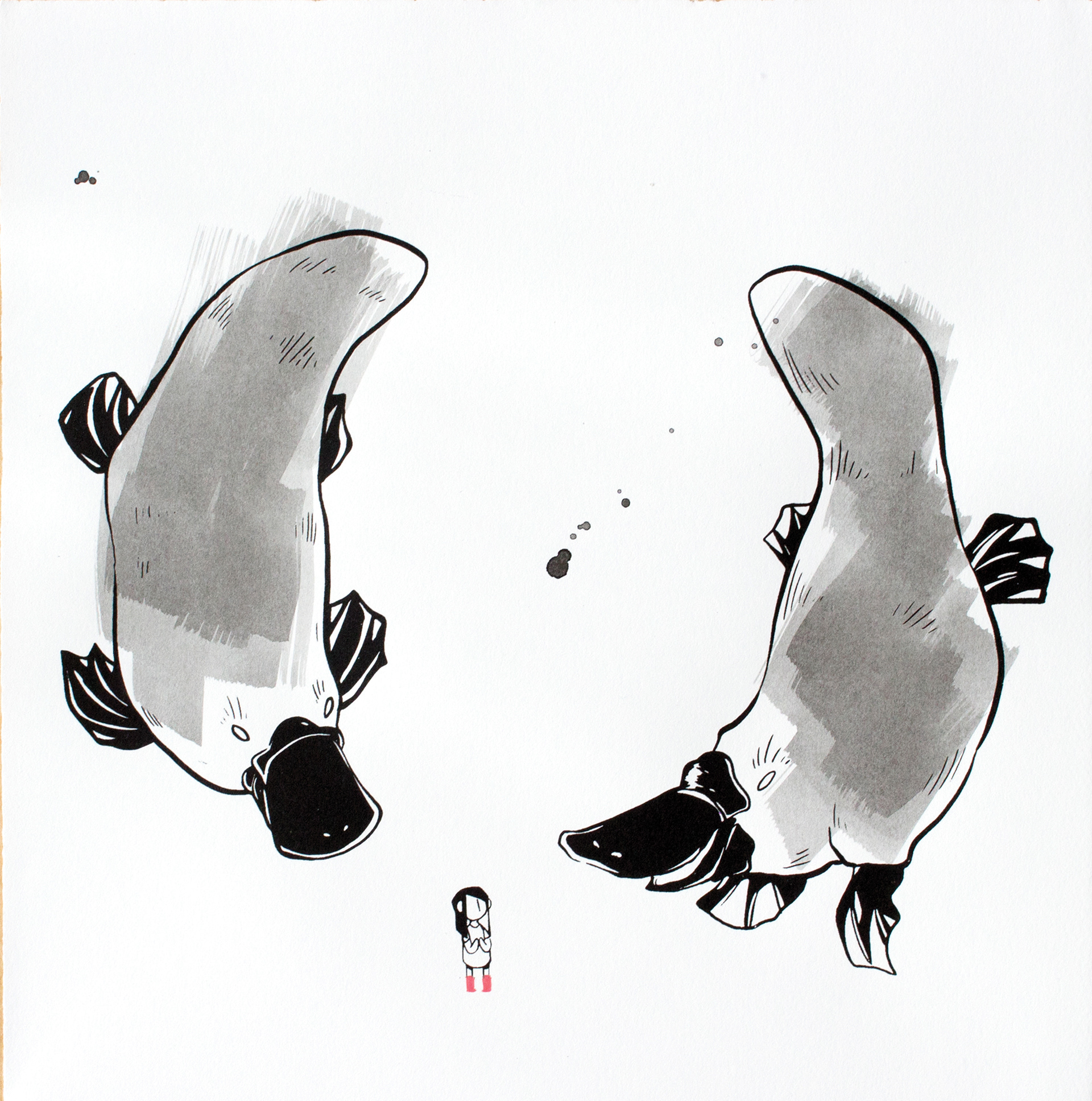 Little Wild Life: Platypus