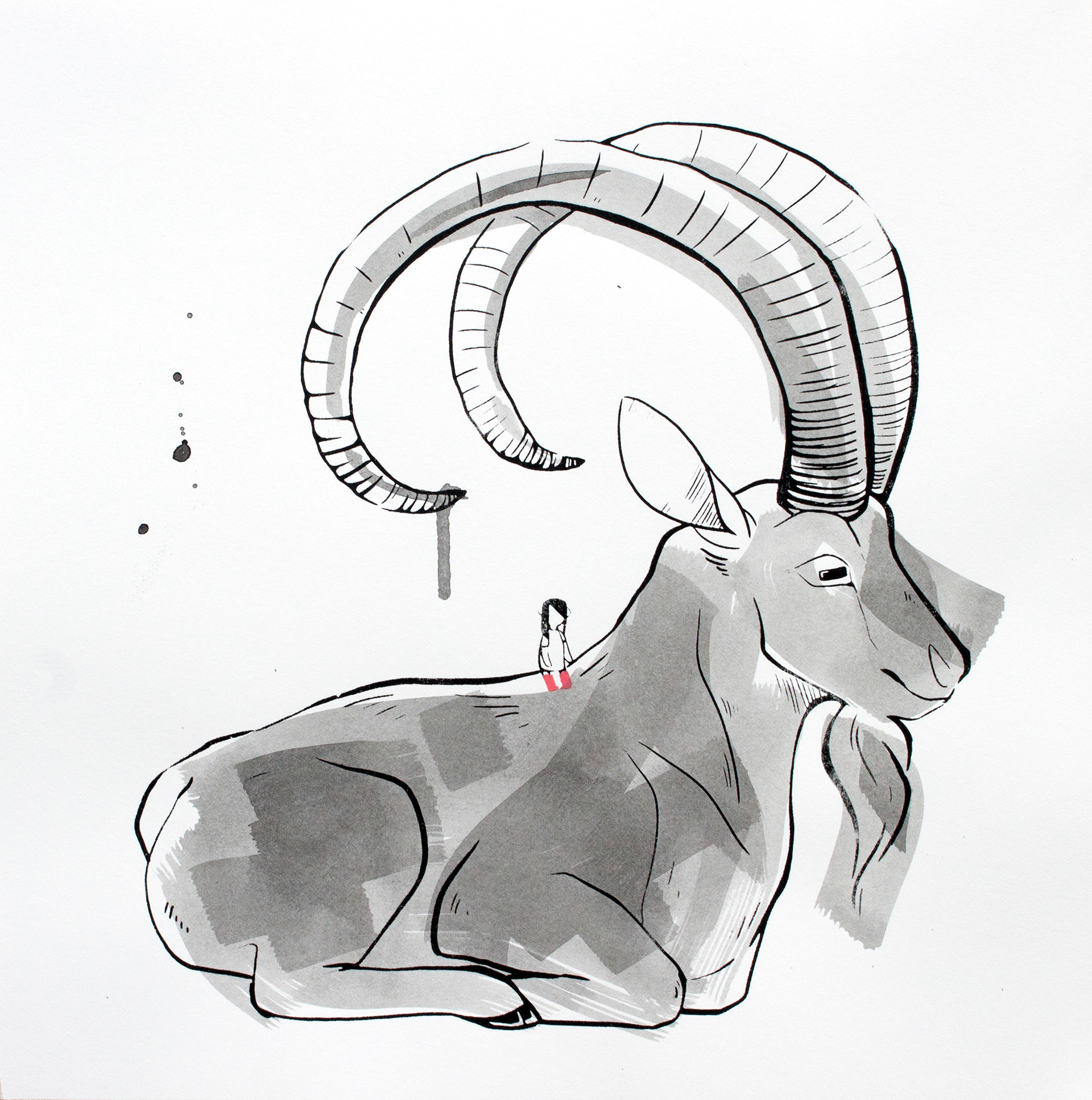 Little Wild Life: Ibex