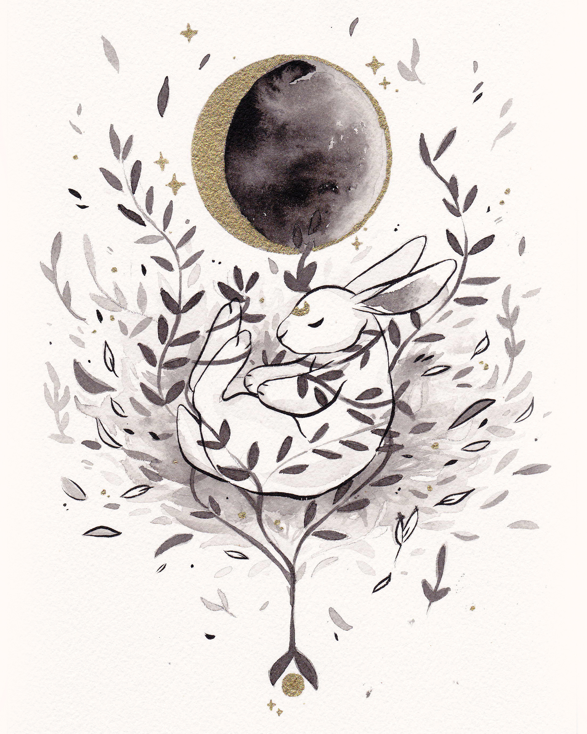 Waning Crescent Moon