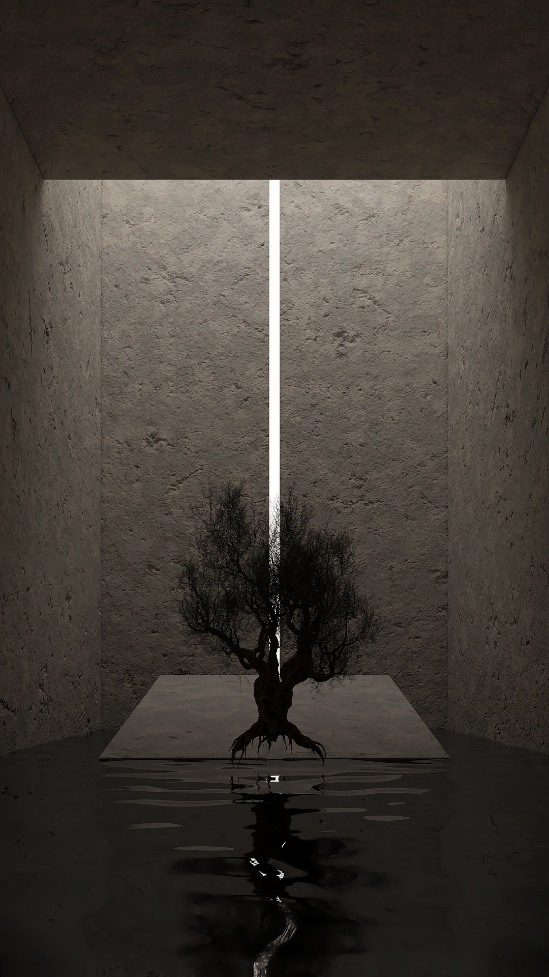Metamorphosis — صورة 7