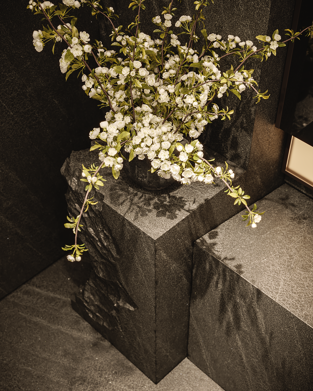 Monolithic Basalt Basin — صورة 12