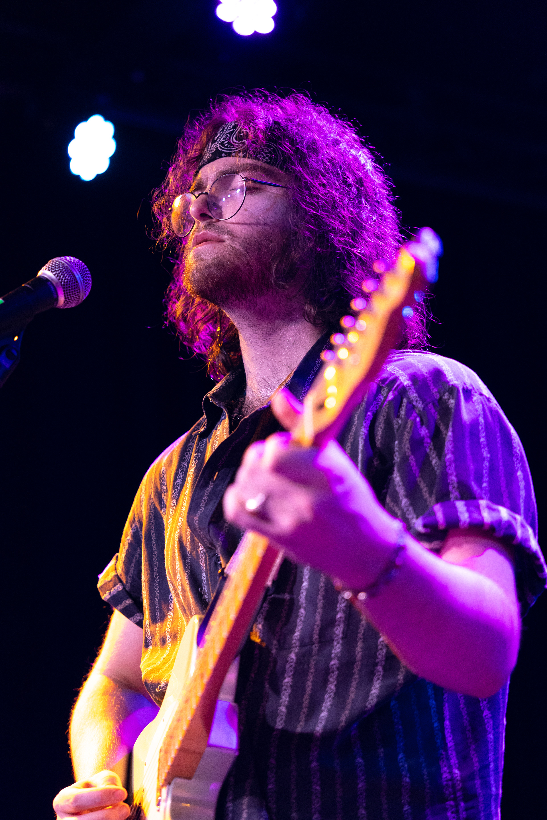 Taffeta - The Peacocks