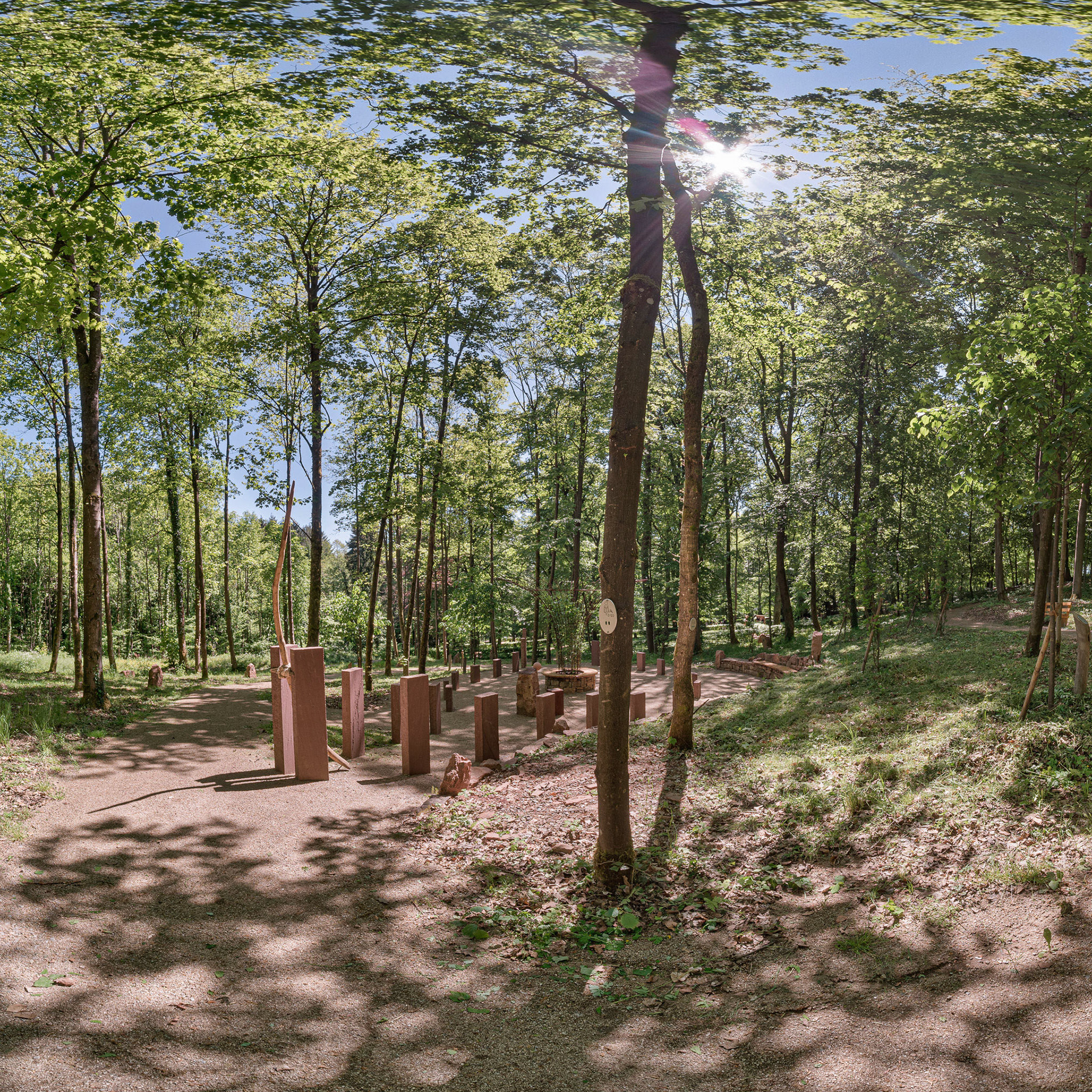 360-Grad-Rundgang durch den Waldfriedhof Ruhehain in Reichartshausen. Damit haben Familien die Möglichkeit sich die letzte Ruhestätte auszusuchen, ohne dass alle vor Ort sein müssen.