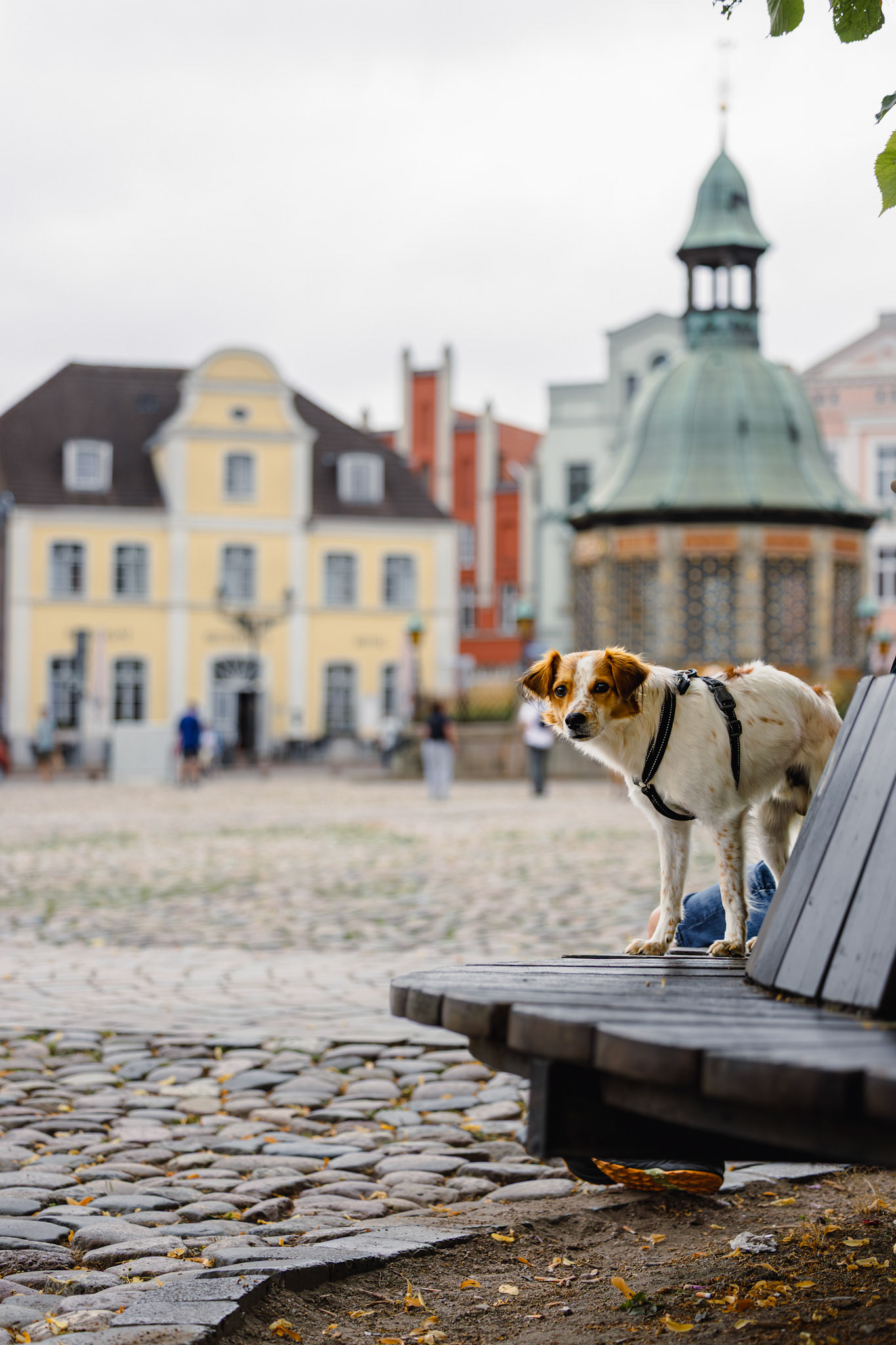 Wismar