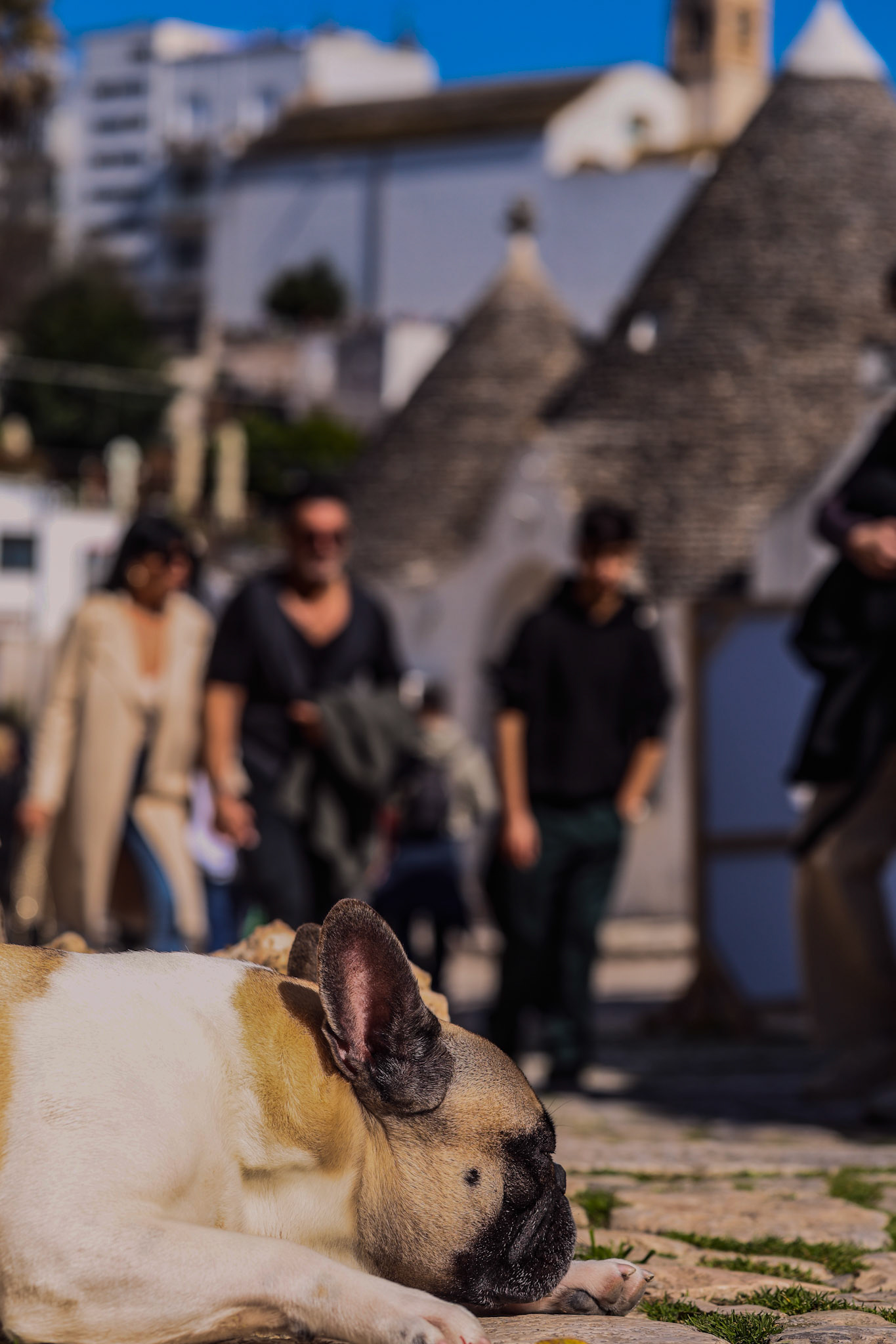 Alberobello