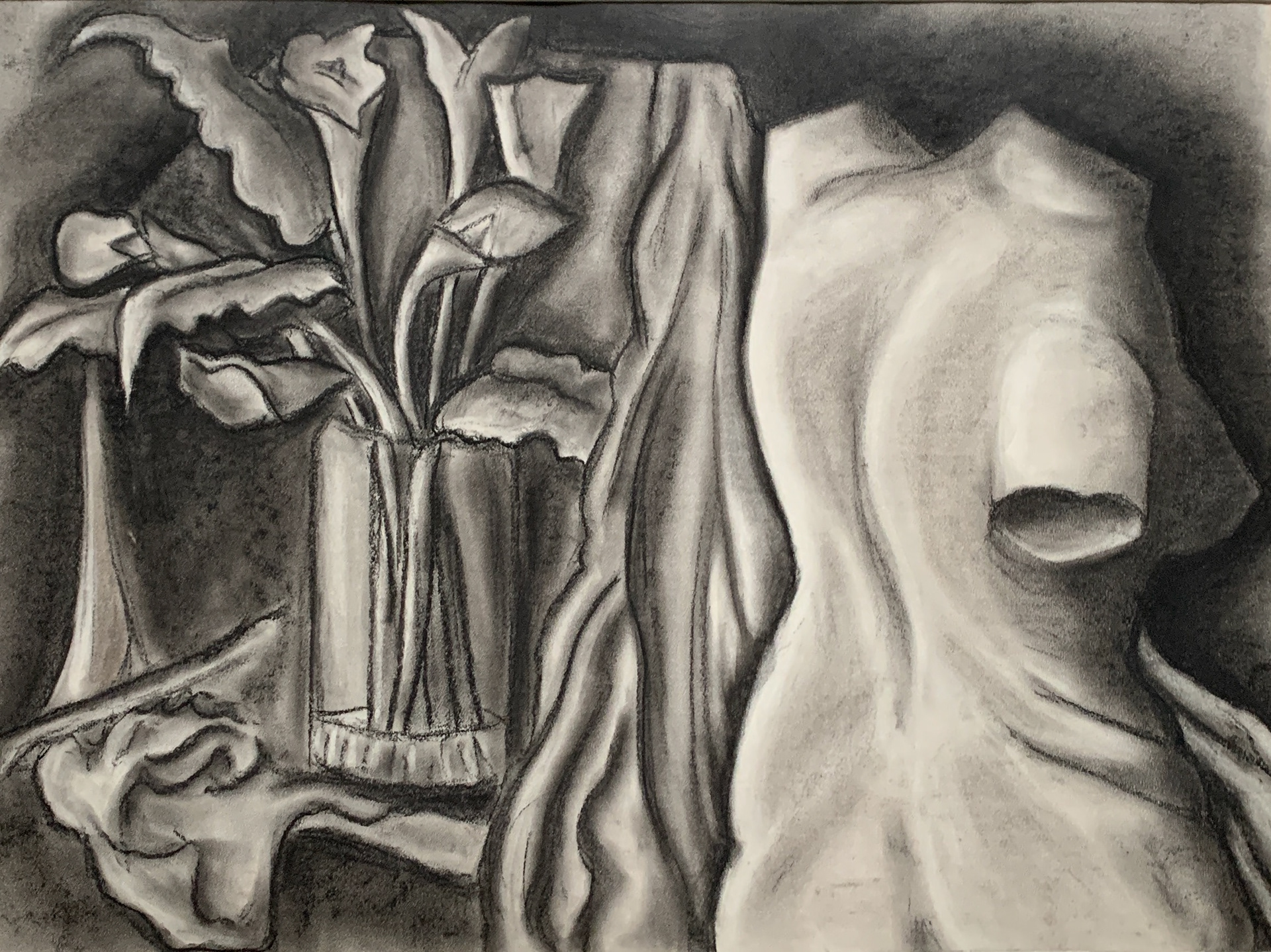 Still Life, Charcoal.2018