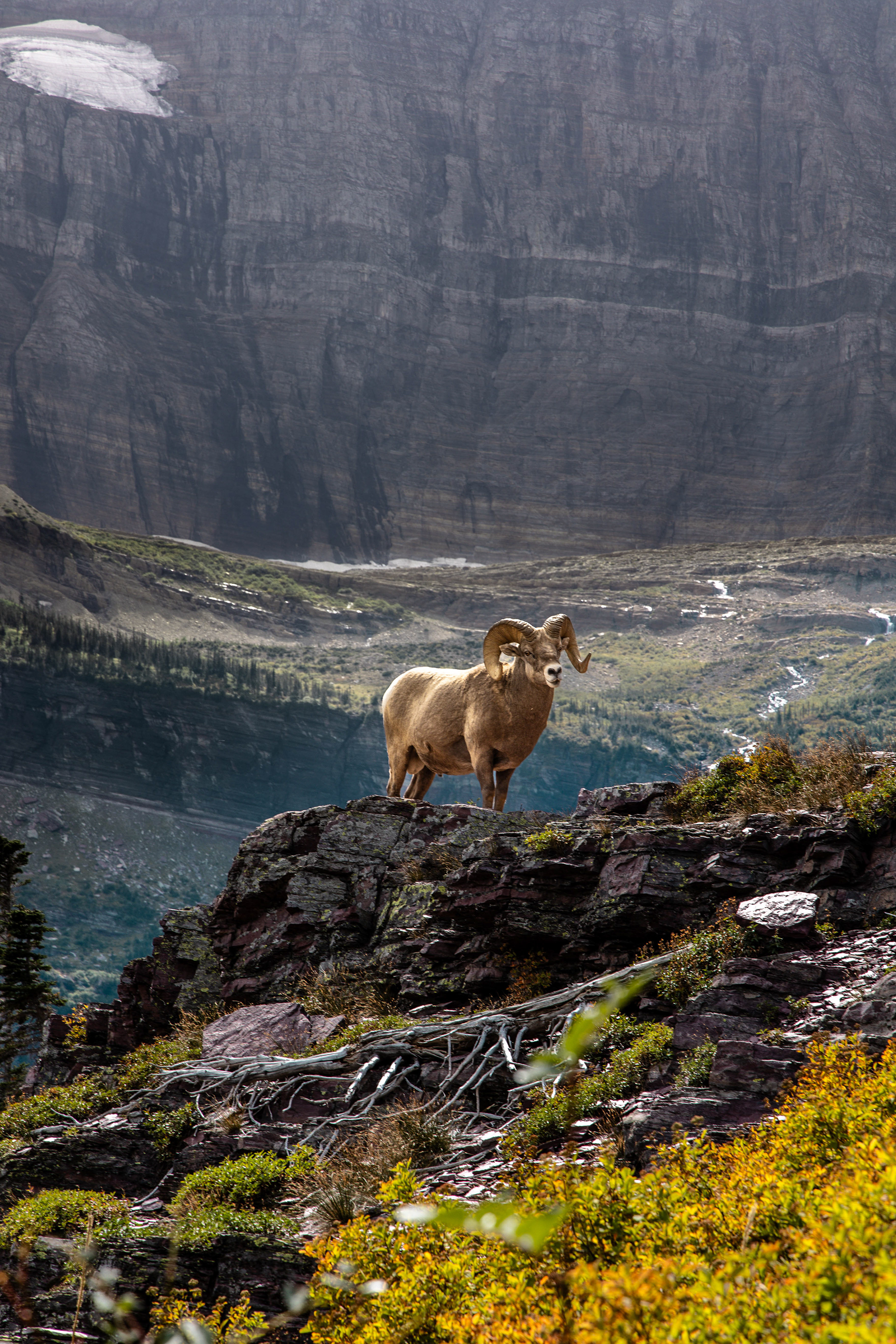 Glacier National Park, Montana