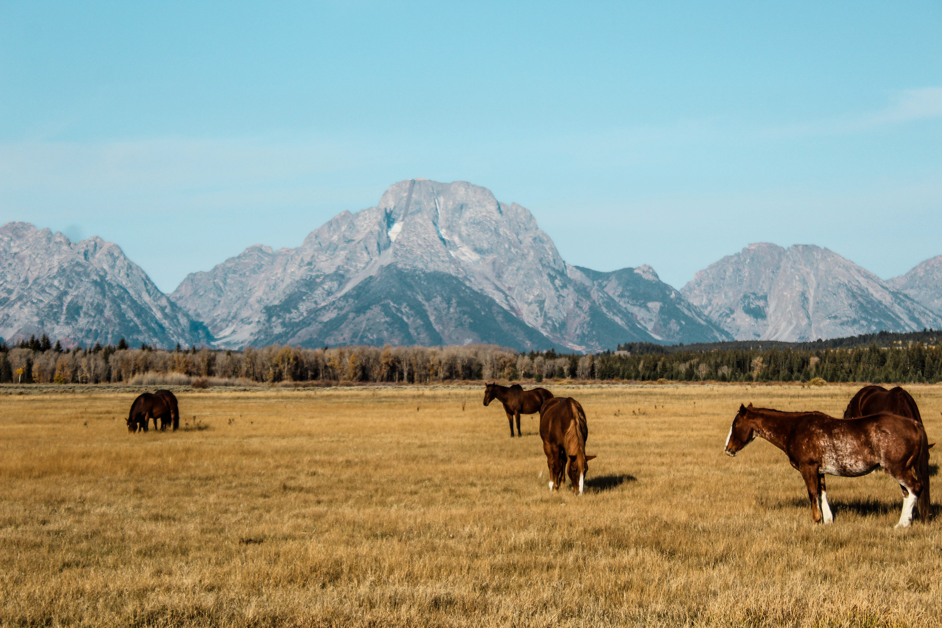 Grand Teton National Park, Wyoming