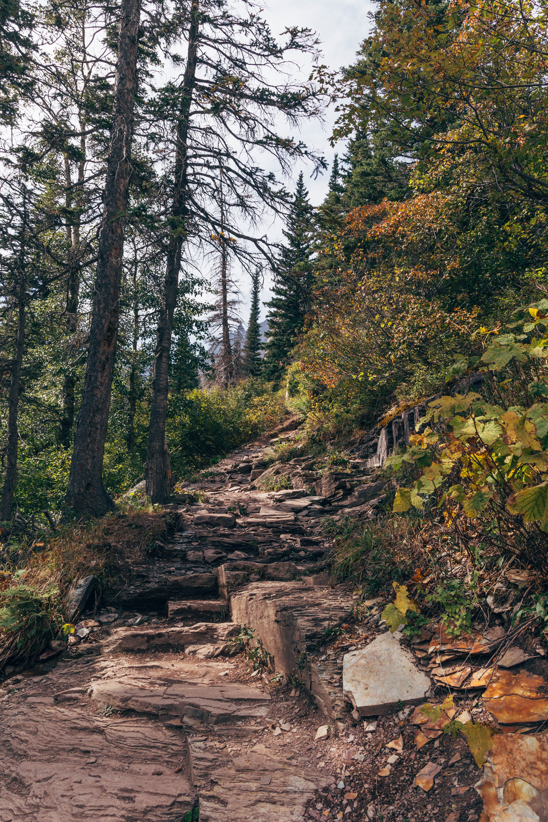 Glacier National Park, Montana