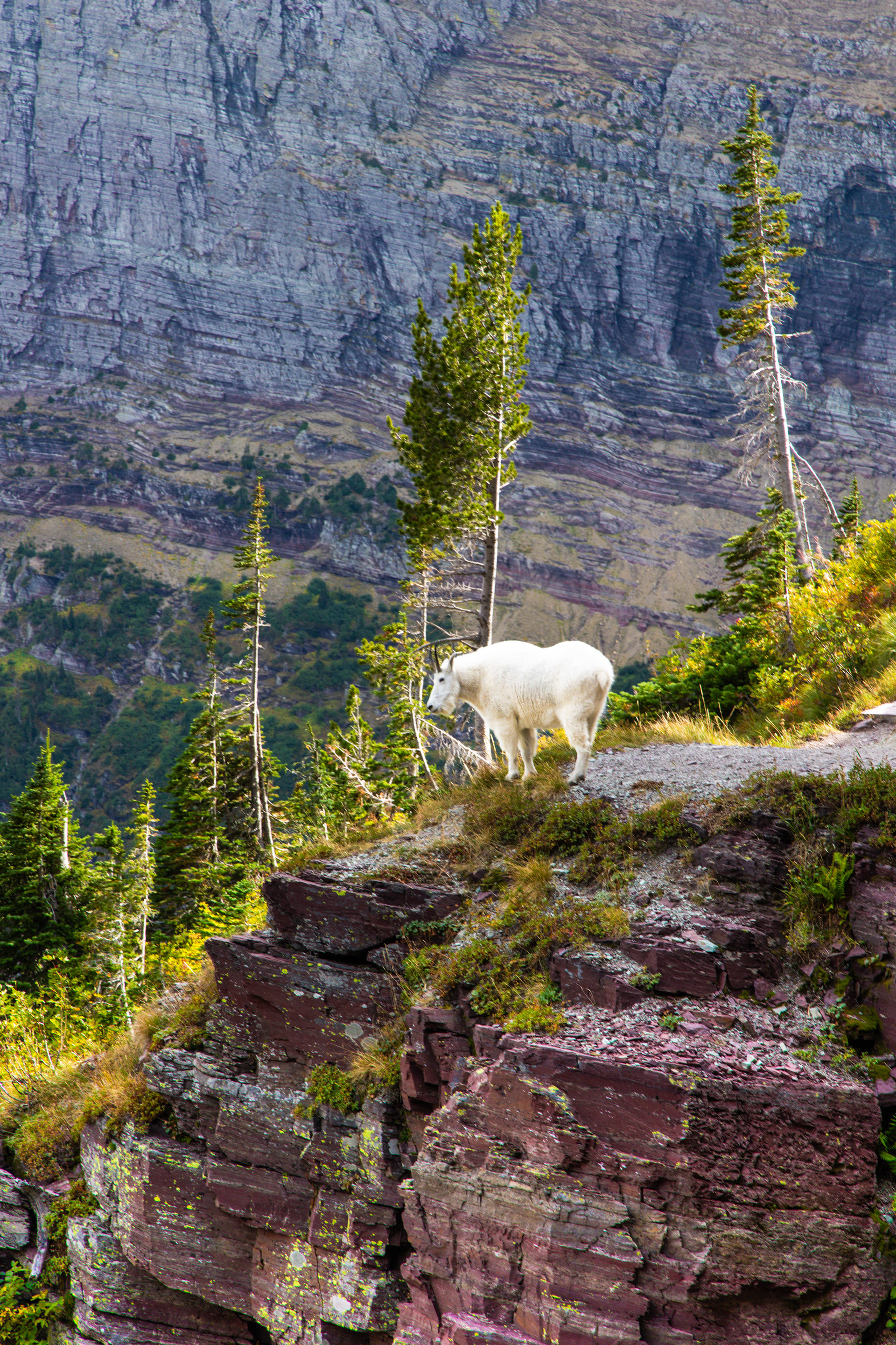 Glacier National Park, Montana