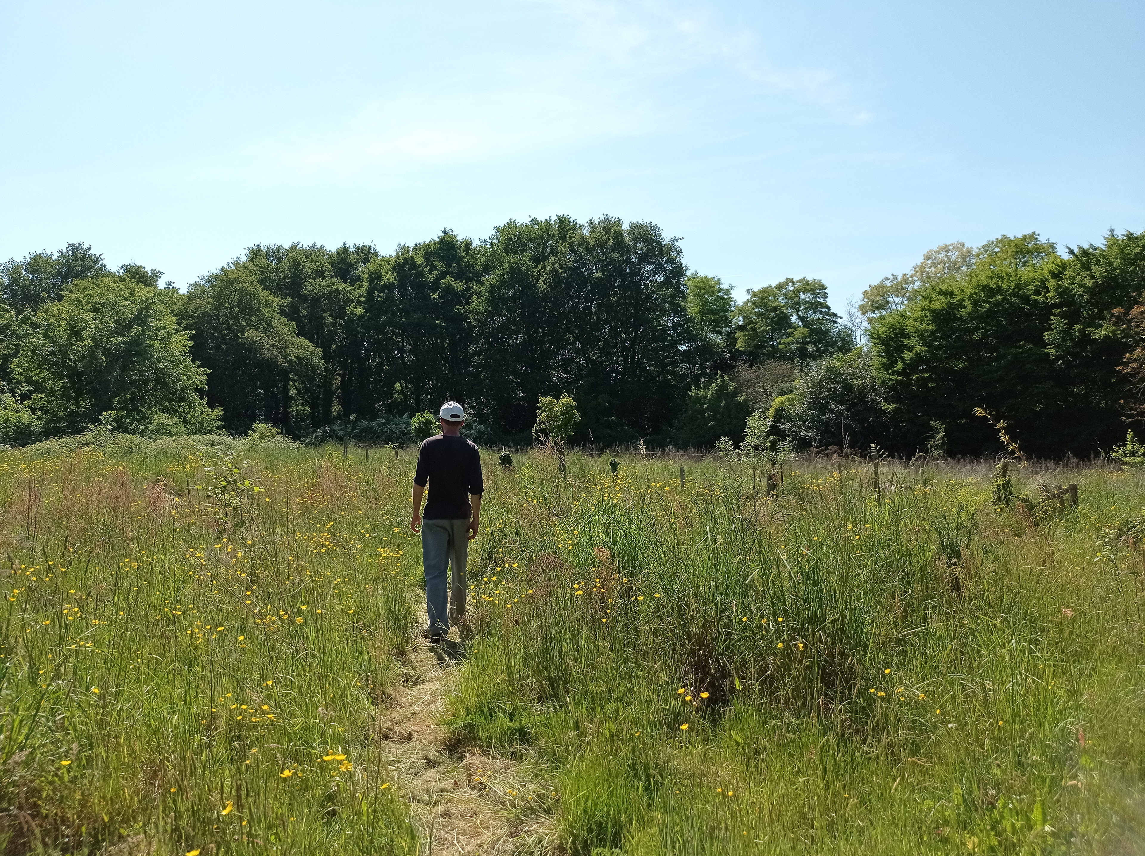 Un jardin enherbé et son voyageur