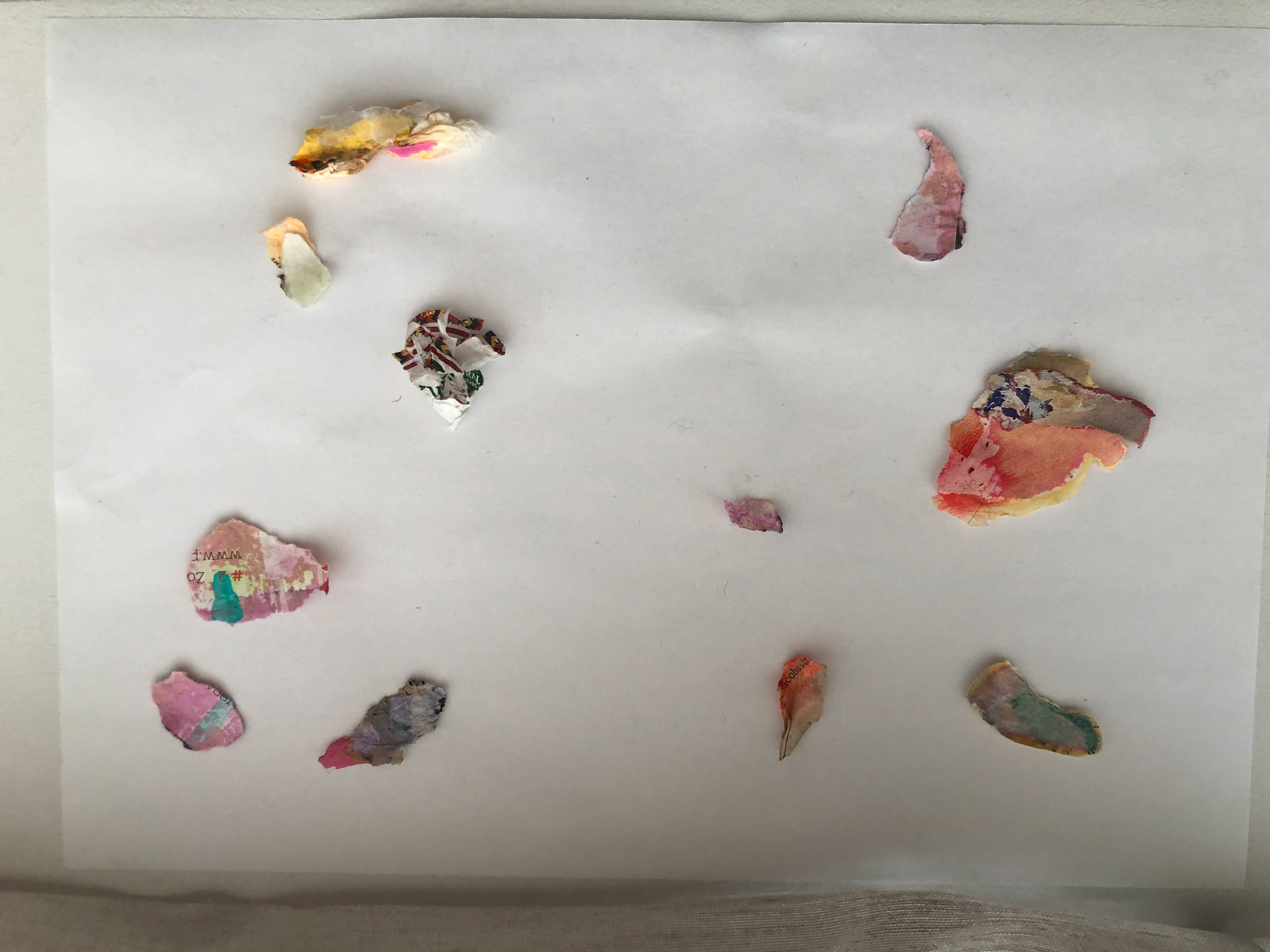 A fascination for (decaying) paper