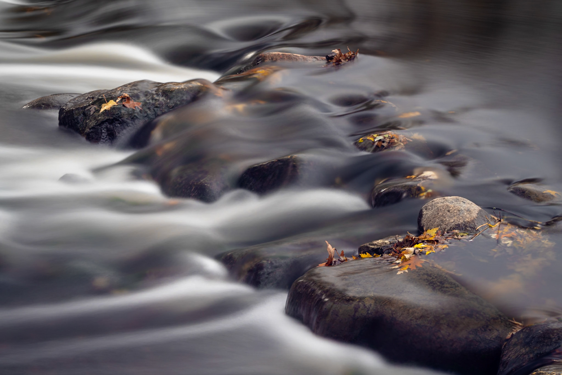 Edward L. Ryerson Conservation Area - Deerfield, IL