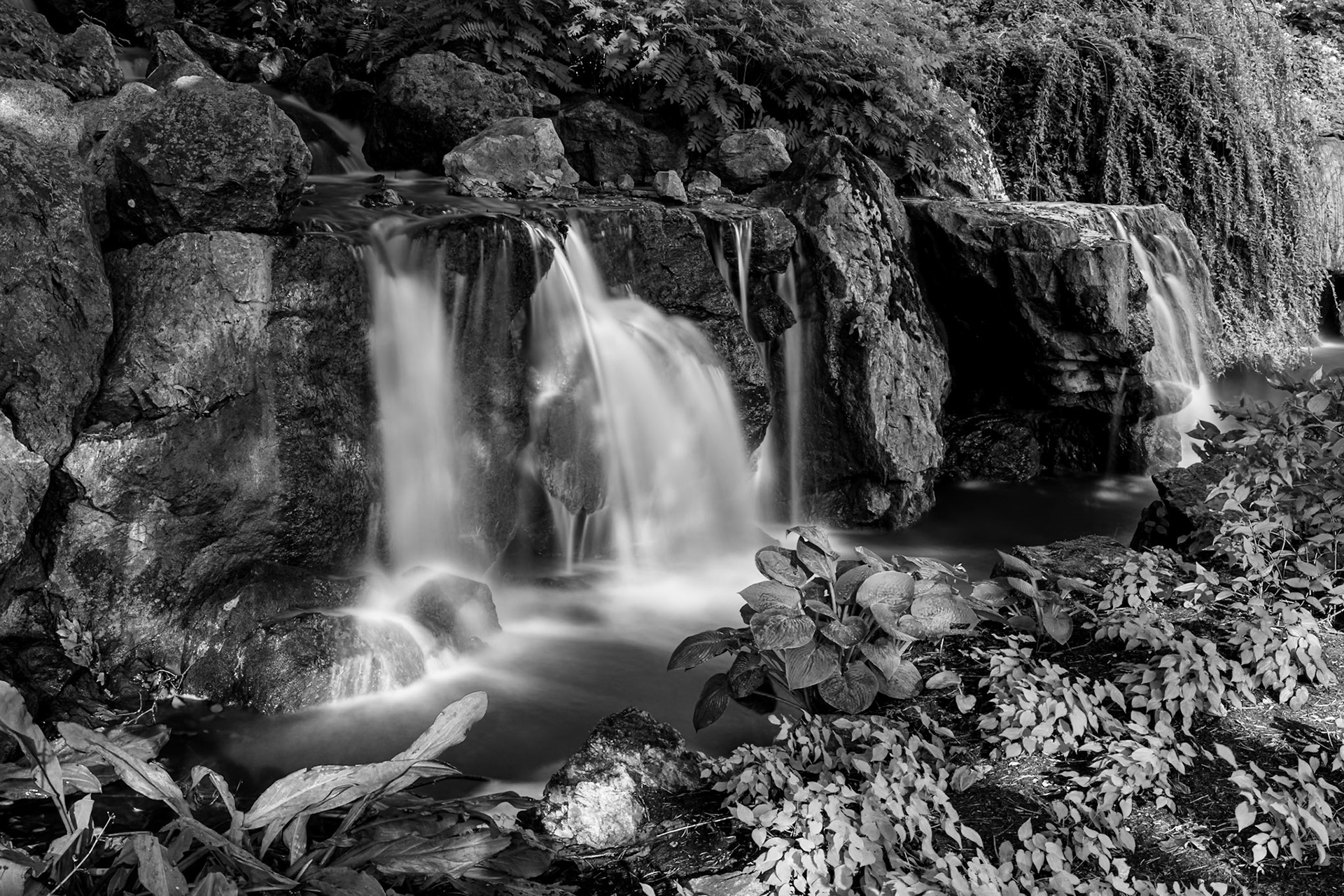 Chicago Botanic Garden - Glencoe, IL