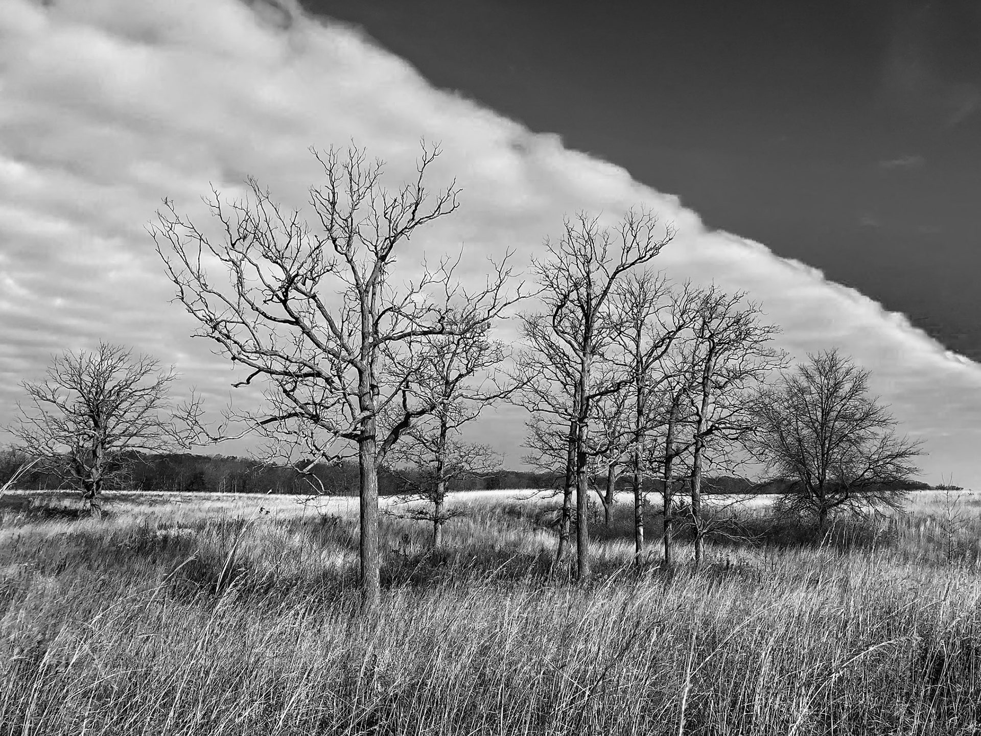 Fort Sheridan Forest Preserve - Fort Sheridan, IL