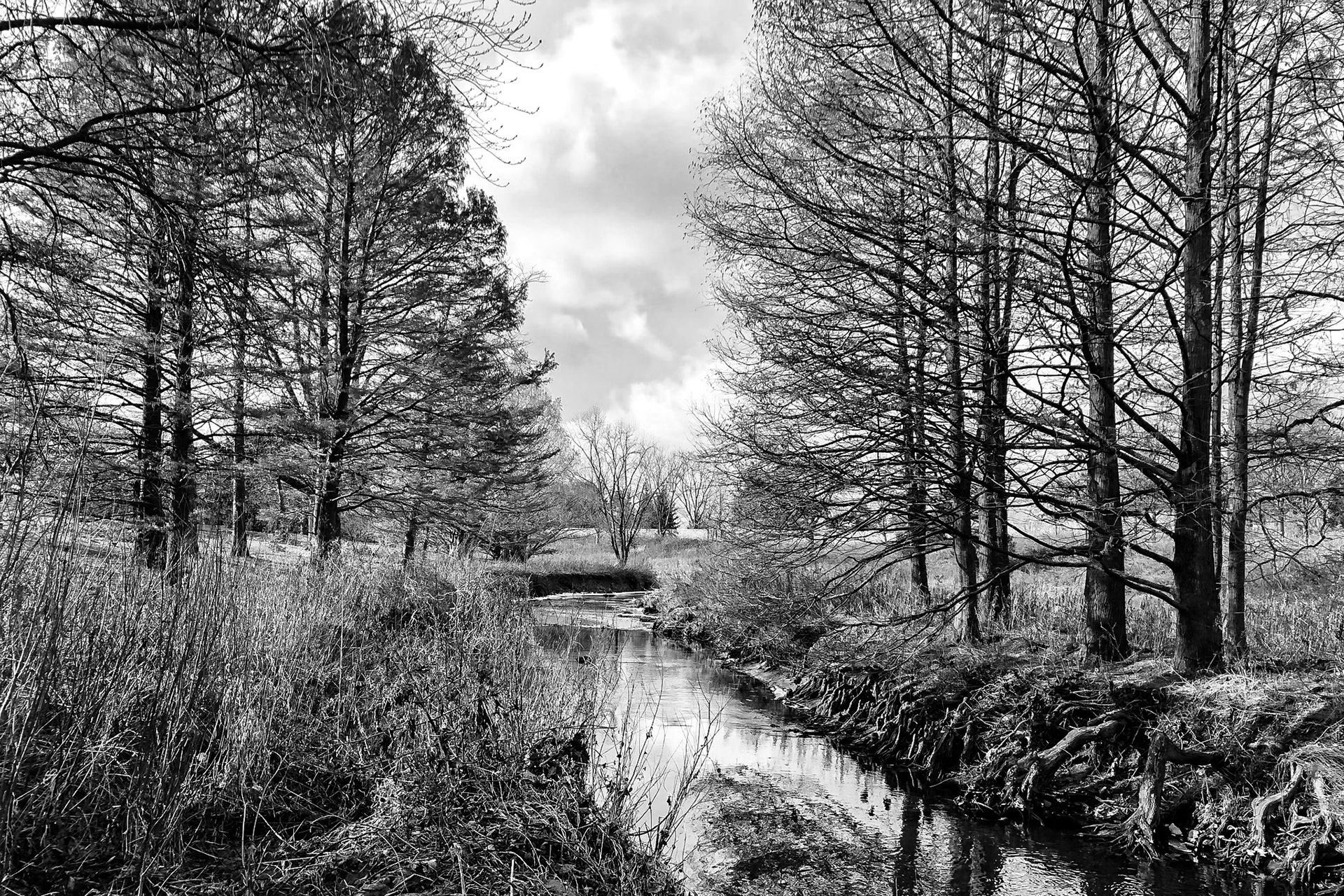 Chicago Botanic Garden - Glencoe, IL