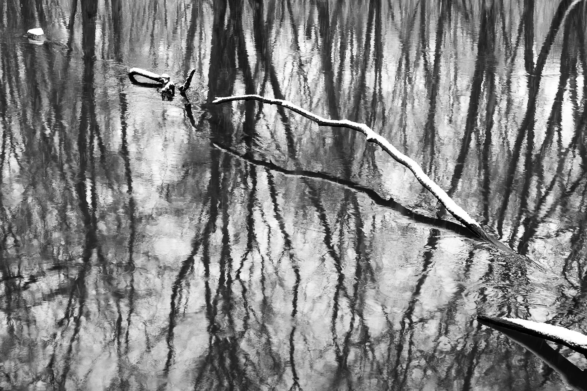 Lake County Forest Preserve - Daniel Wright Woods