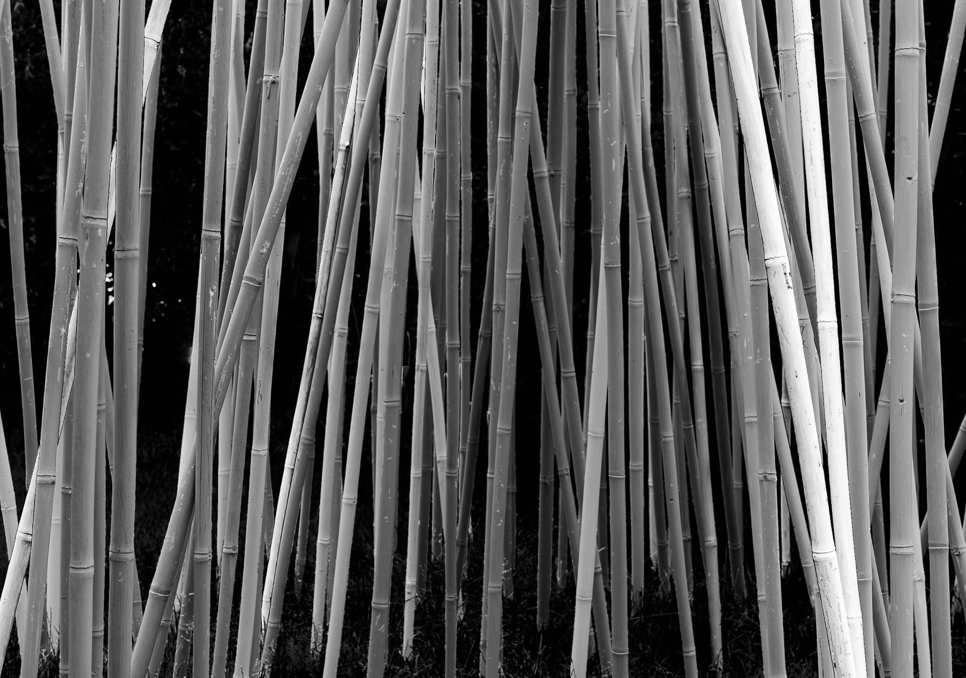 Cantigny - Wheaton, IL