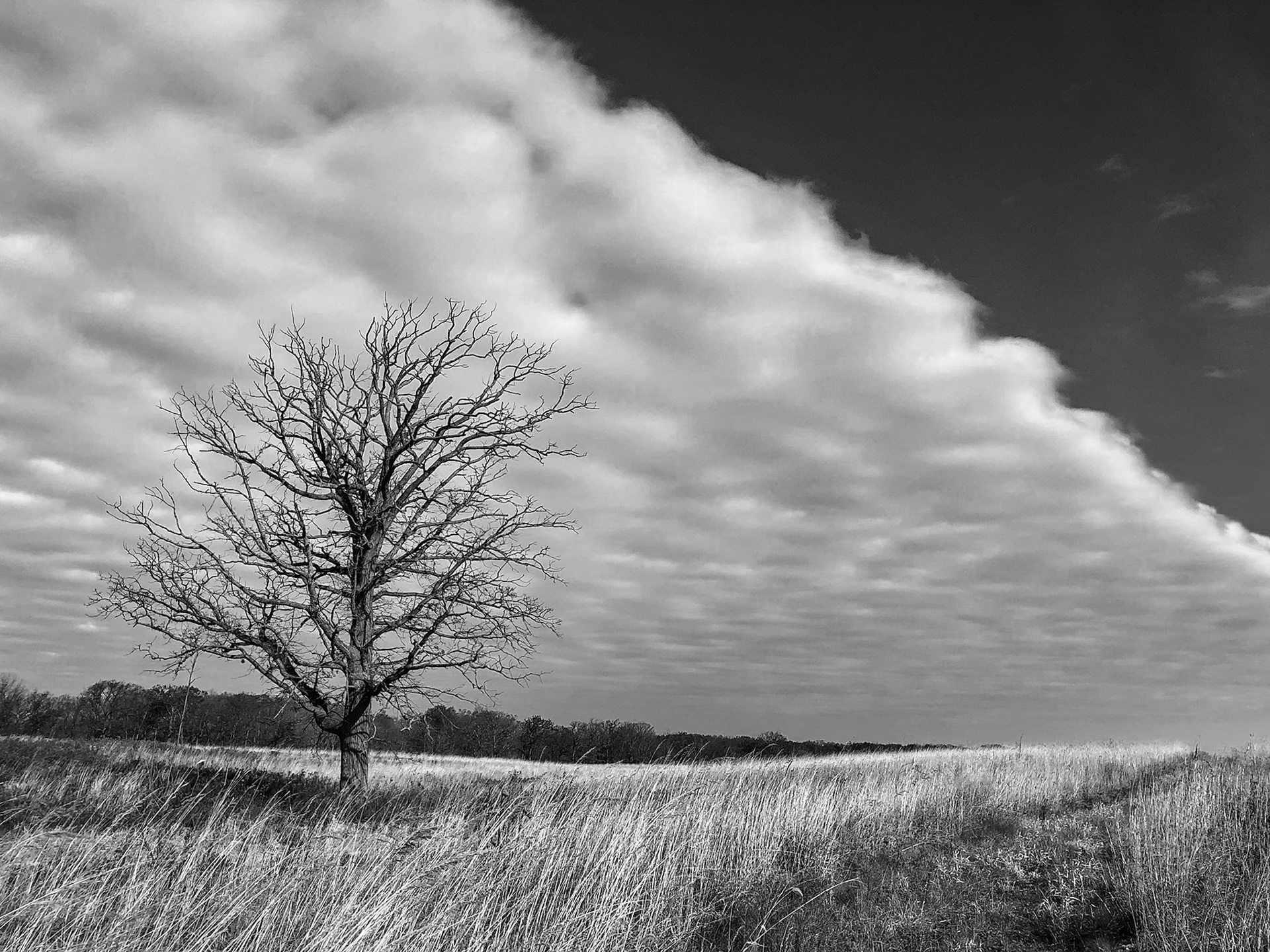 Fort Sheridan Forest Preserve - Fort Sheridan, IL