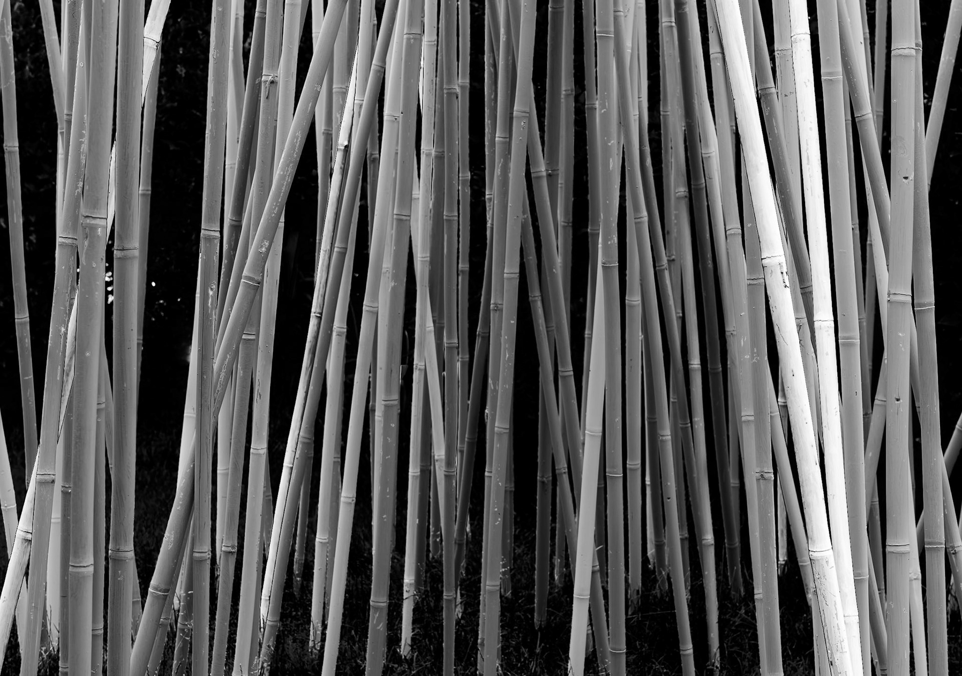 Cantigny - Wheaton, IL