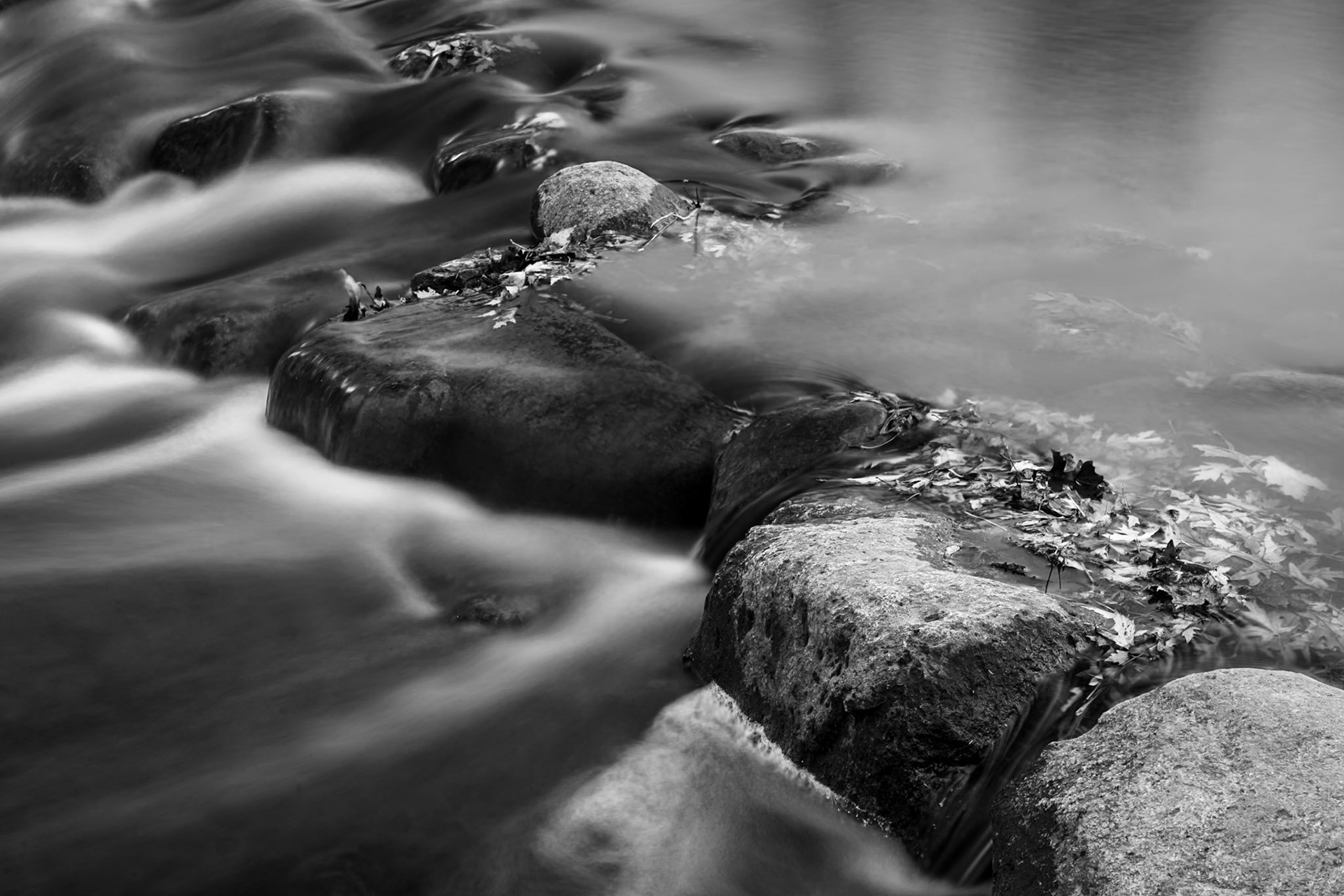 Lake County Forest Preserve - Ryerson