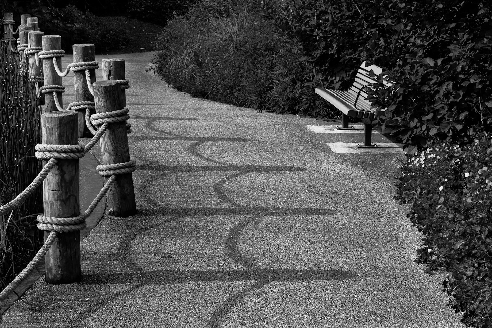 Morton Arboreteum - Lisle, IL