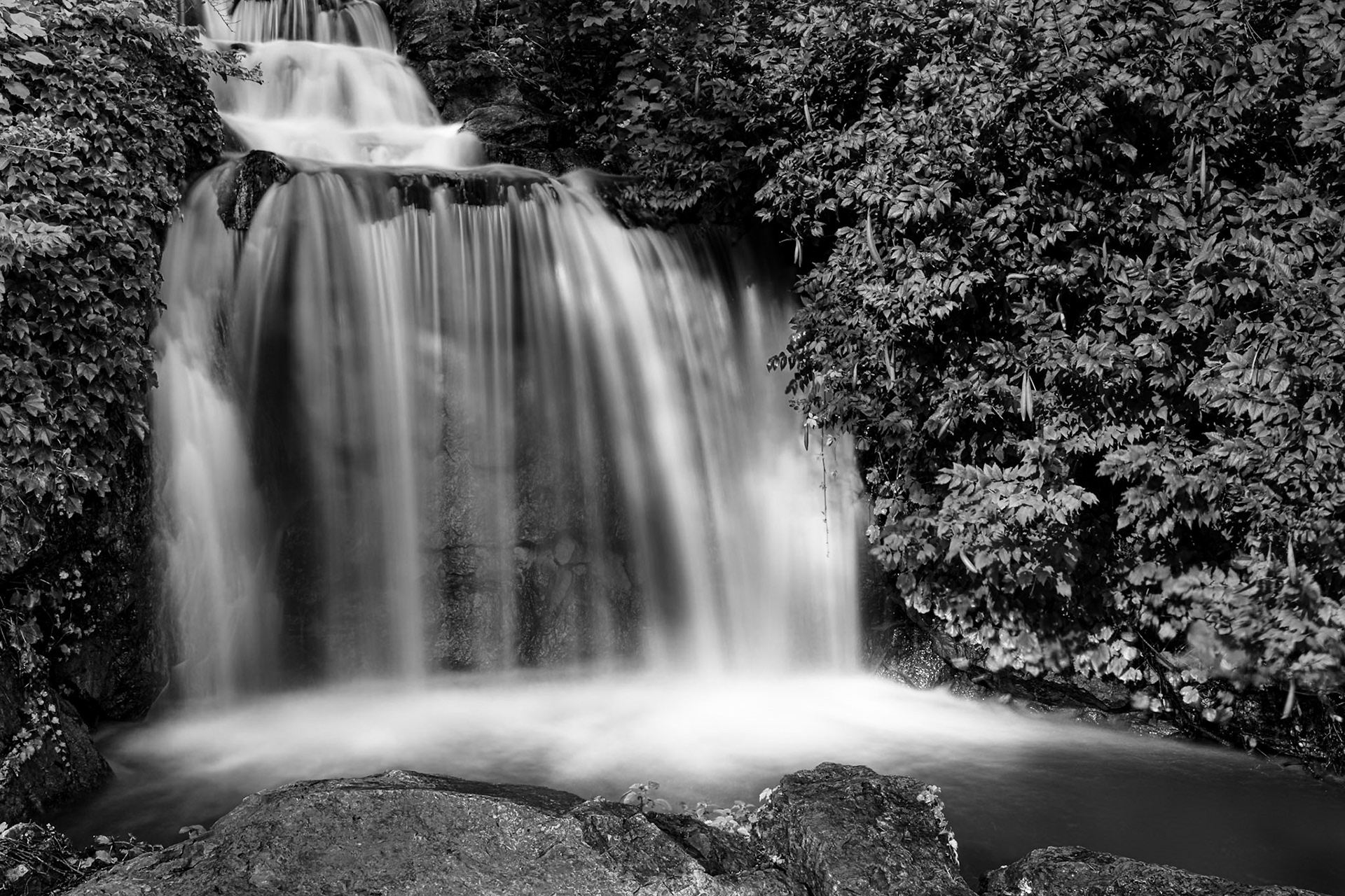 Chicago Botanic Garden - Glencoe, IL