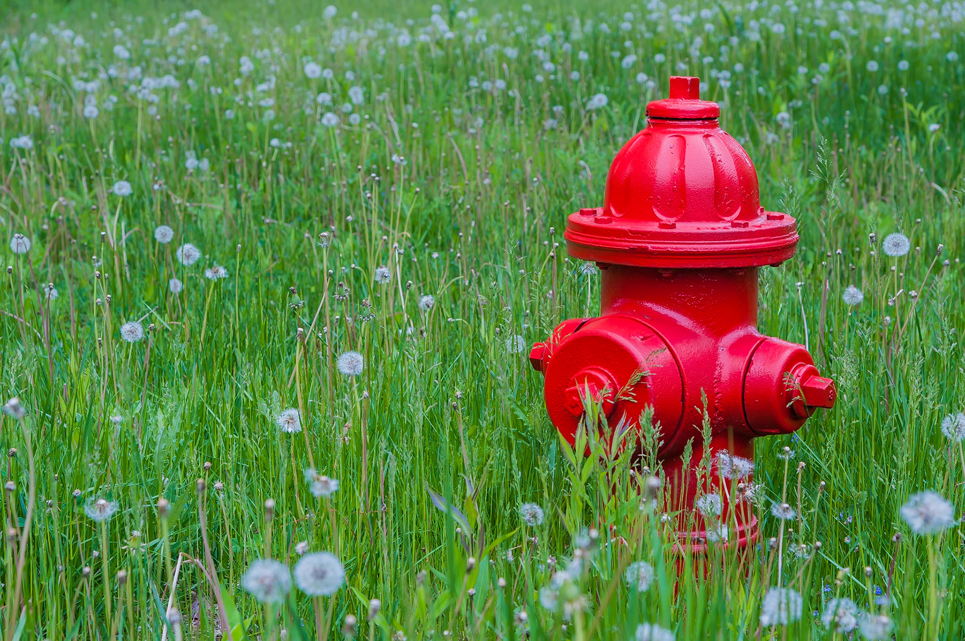 Ridge Road - Highland Park IL