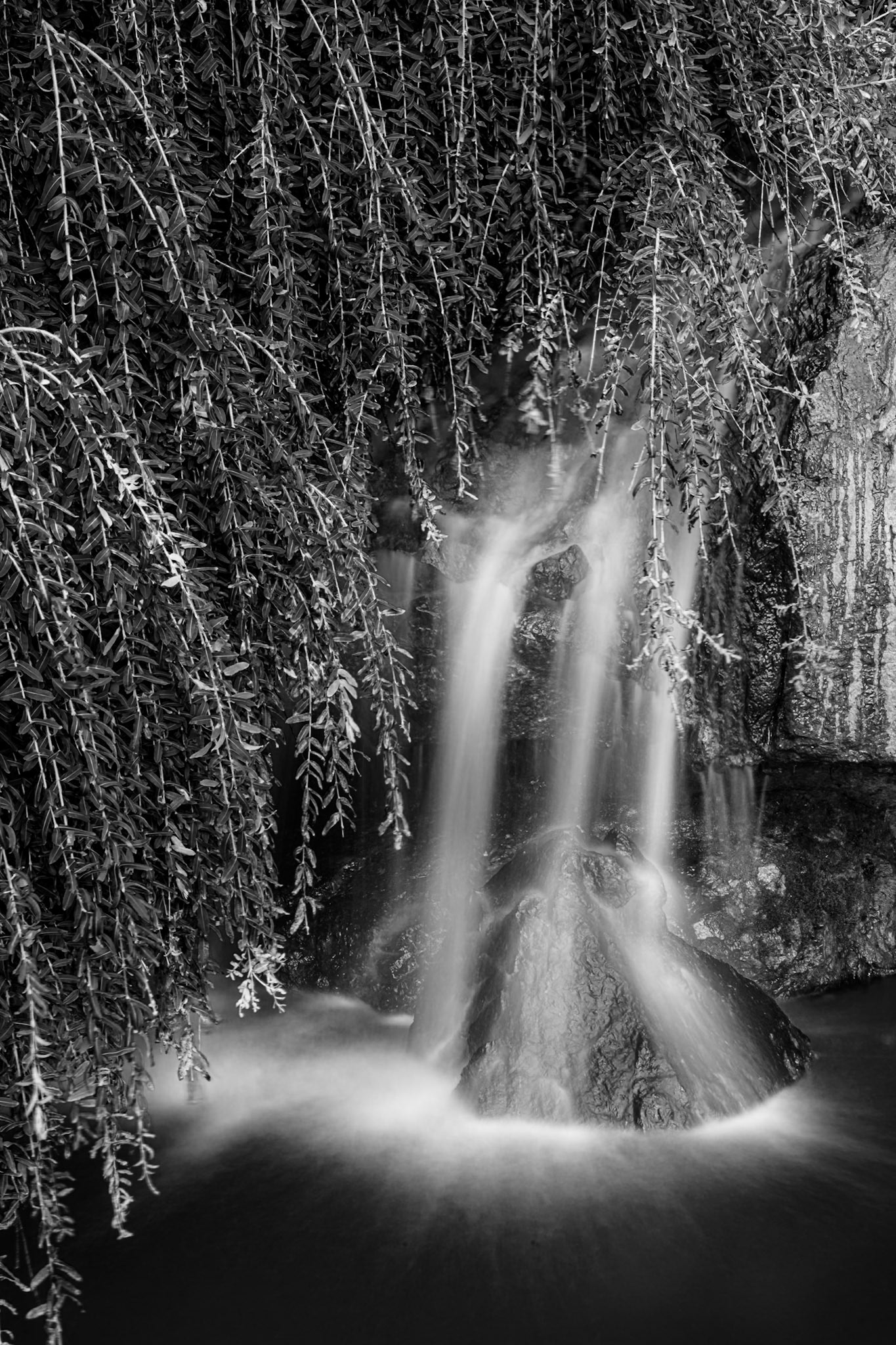 Chicago Botanic Garden - Glencoe, IL