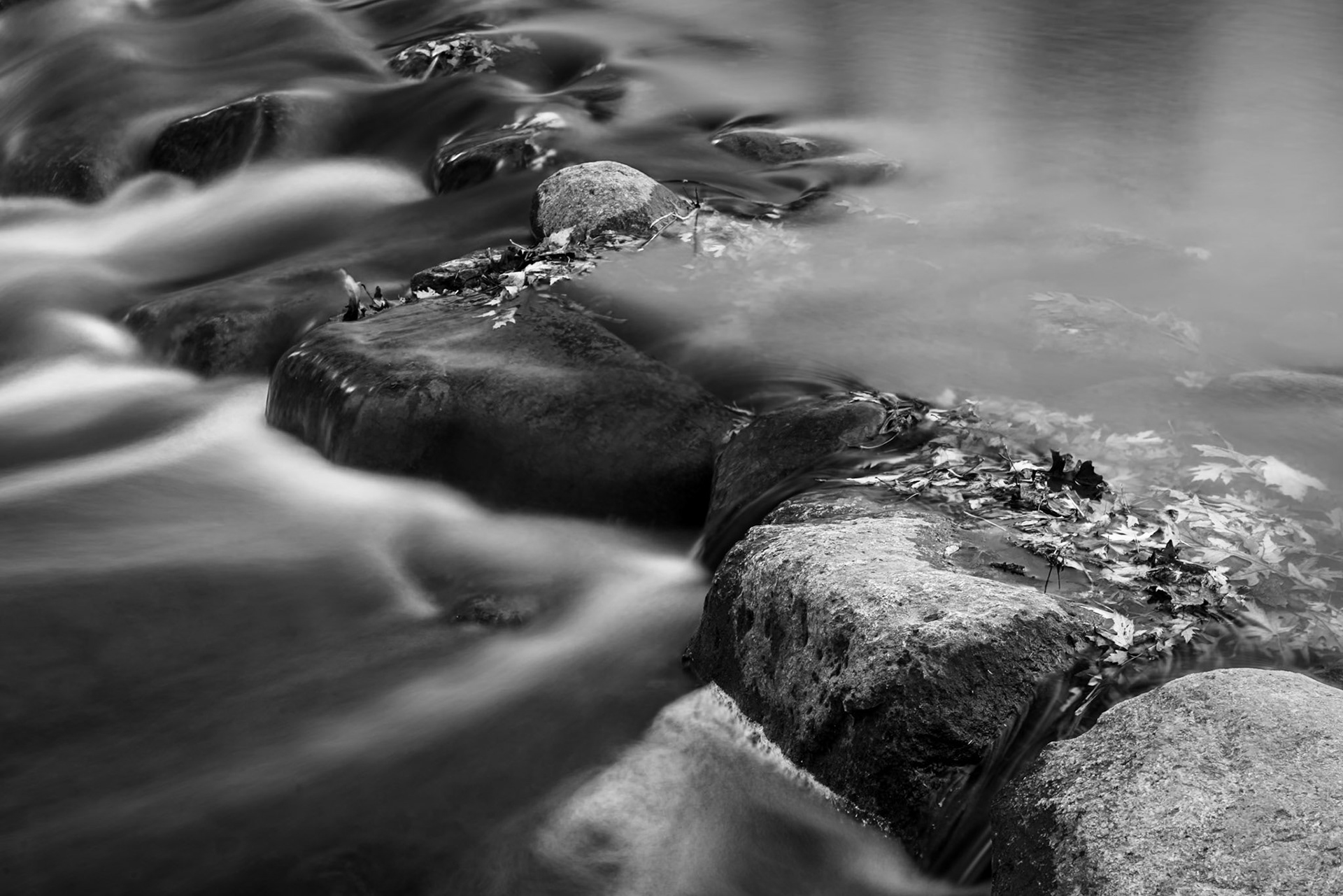 Lake County Forest Preserve - Ryerson