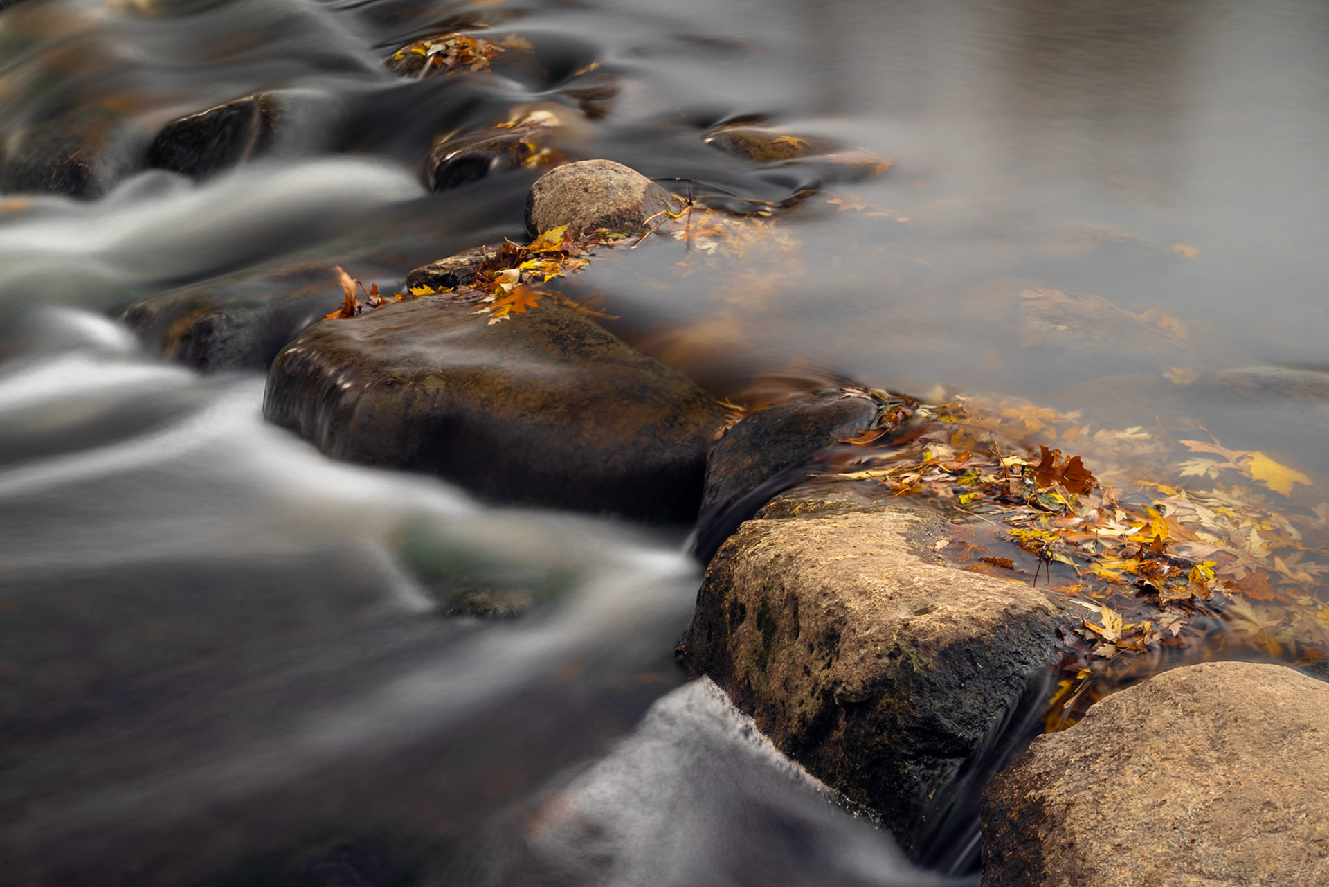 Edward L. Ryerson Conservation Area - Deerfield, IL