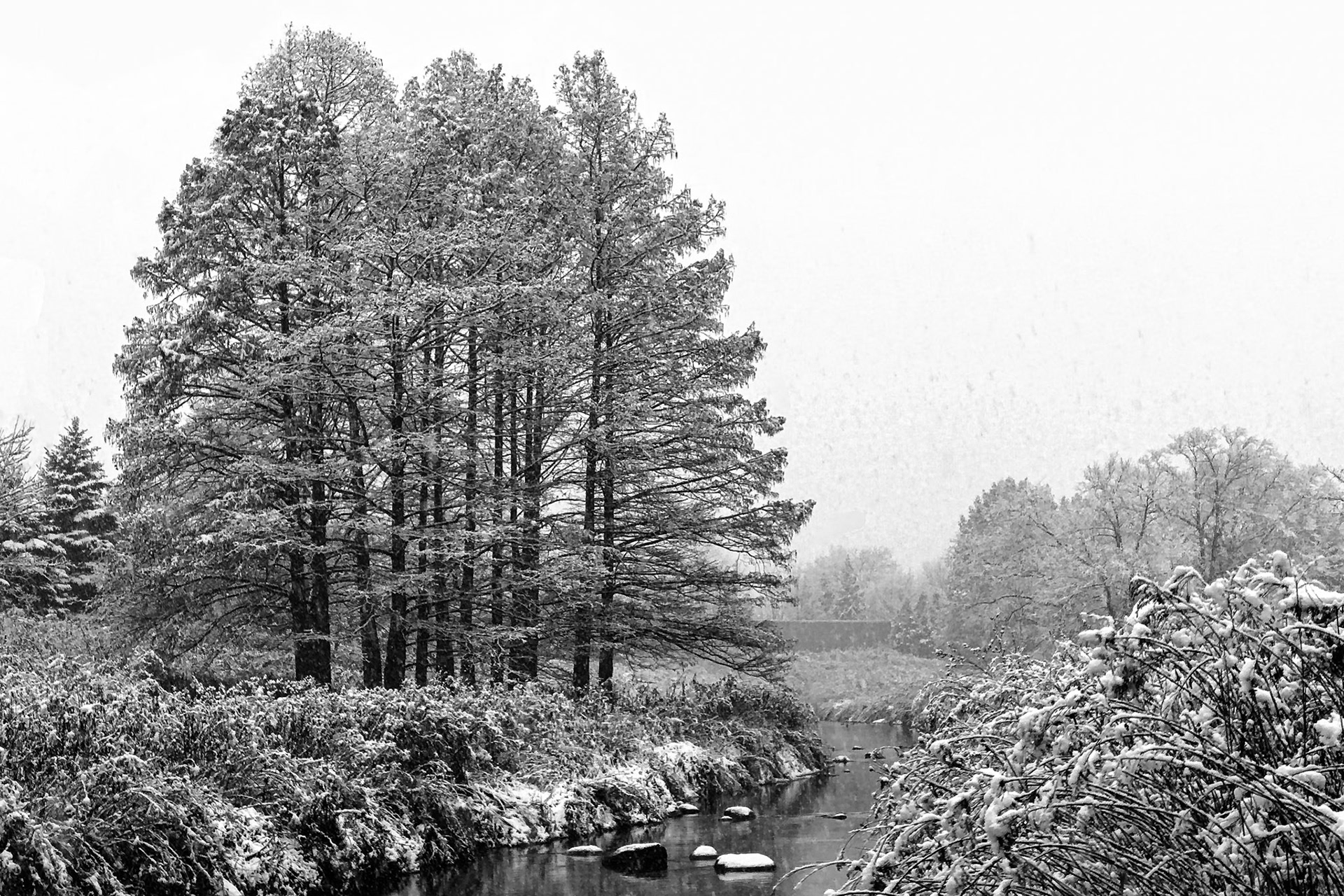 Chicago Botanic Garden - Glencoe, IL