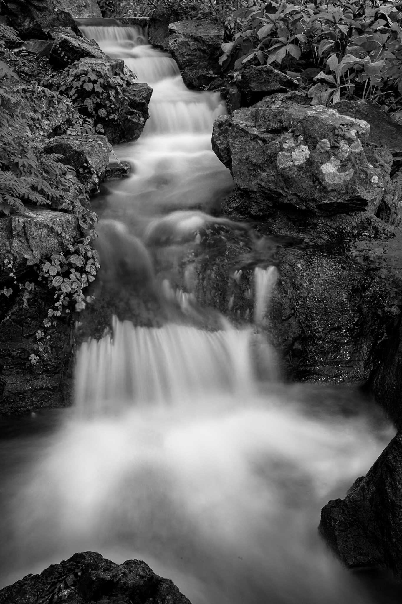 Chicago Botanic Garden - Glencoe, IL