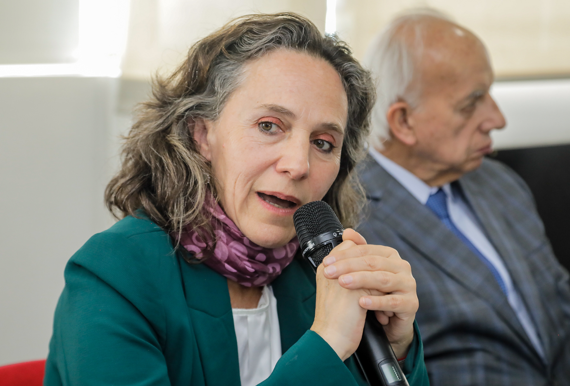 Viceministra de Patrimonios Adriana Molano