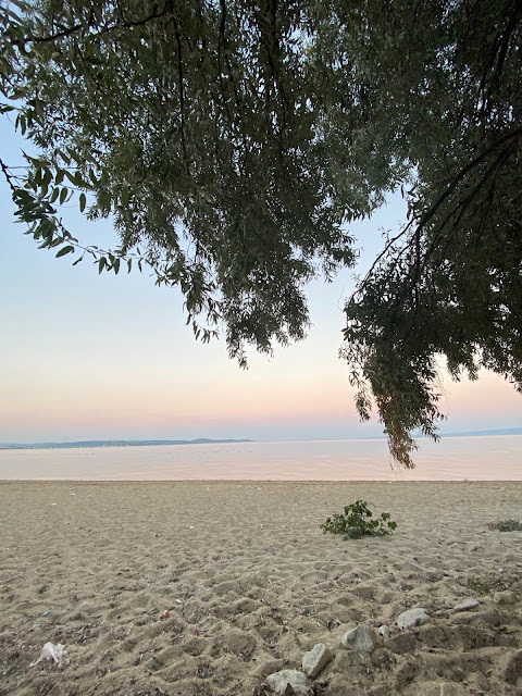 Hotel Campingsky | Kamping & LRF Balıkçılık Blog | Danişment Tabiat Parkı Fotoğraflar | Saroz Körfezi Keşan Edirne