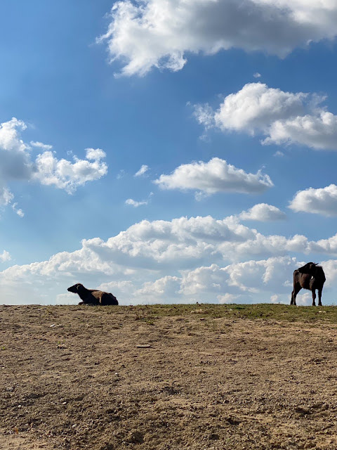 Hotel Campingsky | Kamping & LRF Balıkçılık Blog | Esenceli Köyü Kampı, Ömerli Barajı İstanbul