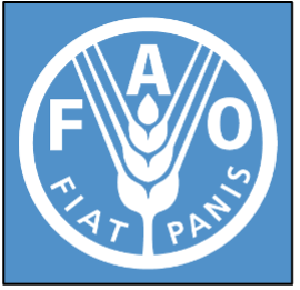 Where: Armenia, Cameroon, Colombia, Dominican Republic, Ghana, Indonesia, Jordan, Kenya, Lao PDR, Madagascar, Rwanda What: Design of 11 food system transformation programmes across 11 countries, with focus on UN inter-agency collaboration and reform. Client/Partner: FAO